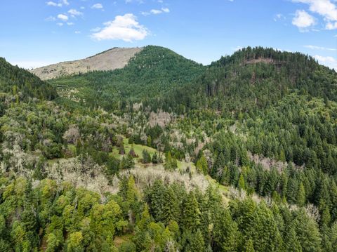 Tiny photo for 778 Pack Lane, Glendale, OR 97442 (MLS # 220217434)