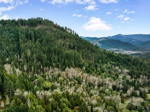 Tiny photo for 778 Pack Lane, Glendale, OR 97442 (MLS # 220217434)