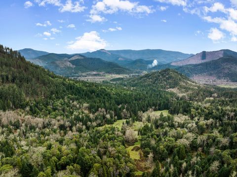 Tiny photo for 778 Pack Lane, Glendale, OR 97442 (MLS # 220217434)