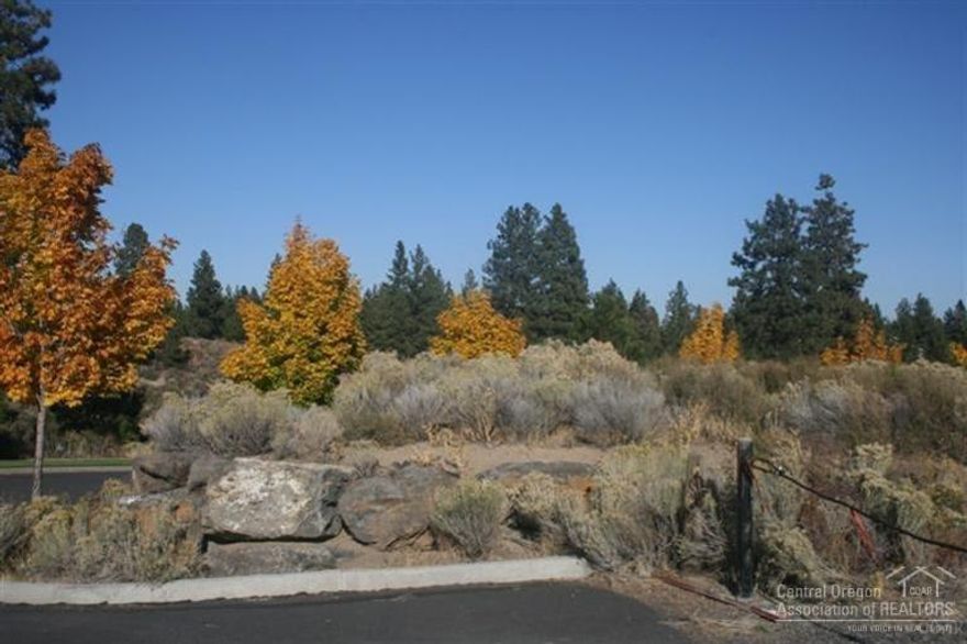 This property consists of 2 separate tax lots being sold together. 1050 SW Yates Dr is 0.83 acres and 1082 SW Yates Dr is 1.94 acres, for a total of 2.77 acres. Zoned CL allows for many uses. Great Westside location. Taxes are both lots combined for 2013.