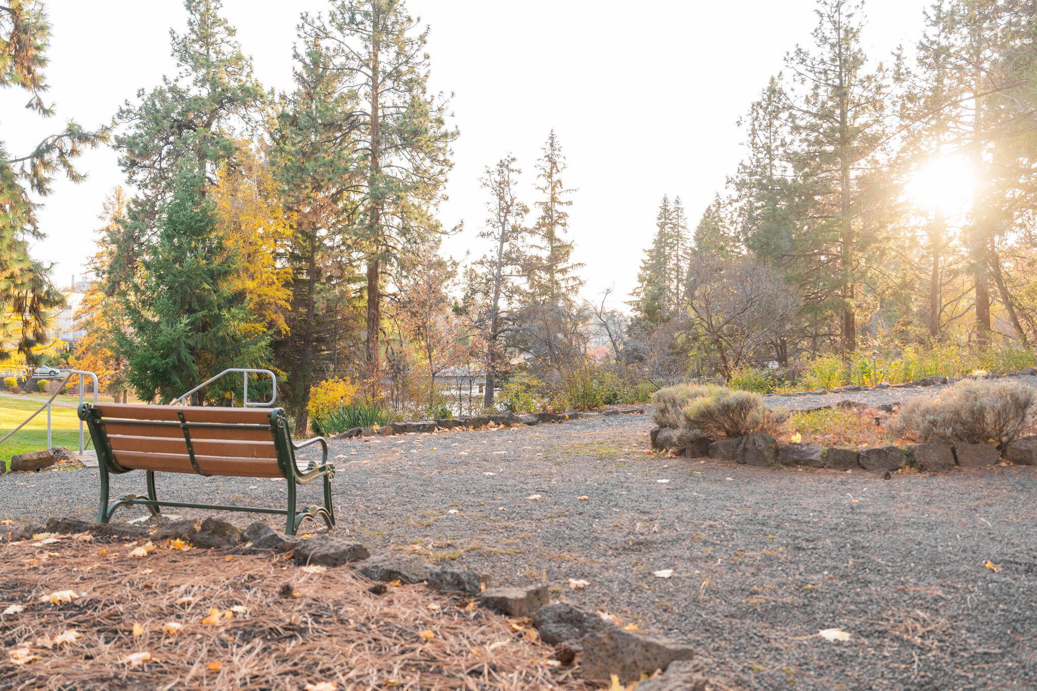 Pioneer Park Condominium - Residential