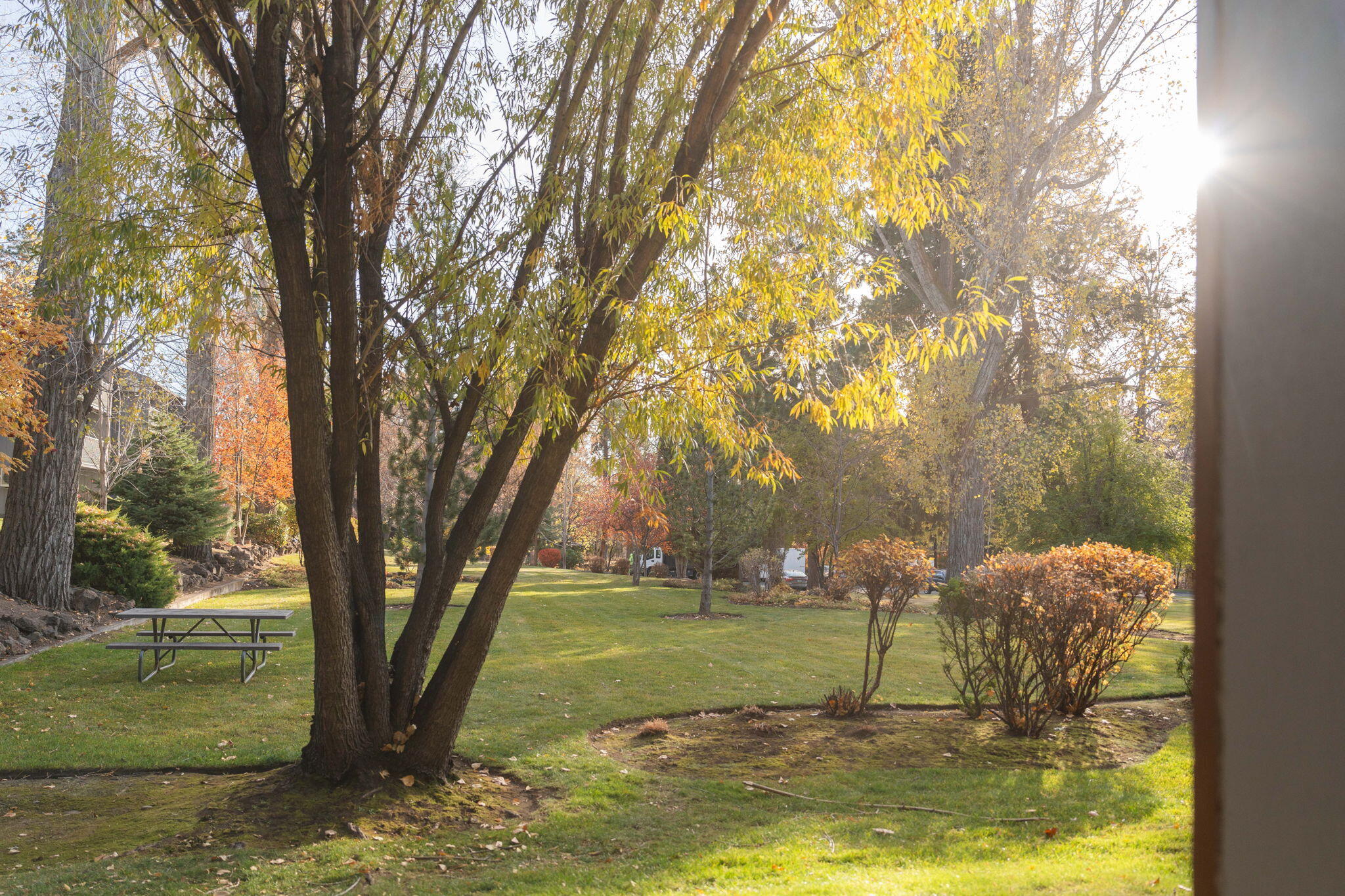 Pioneer Park Condominium - Residential