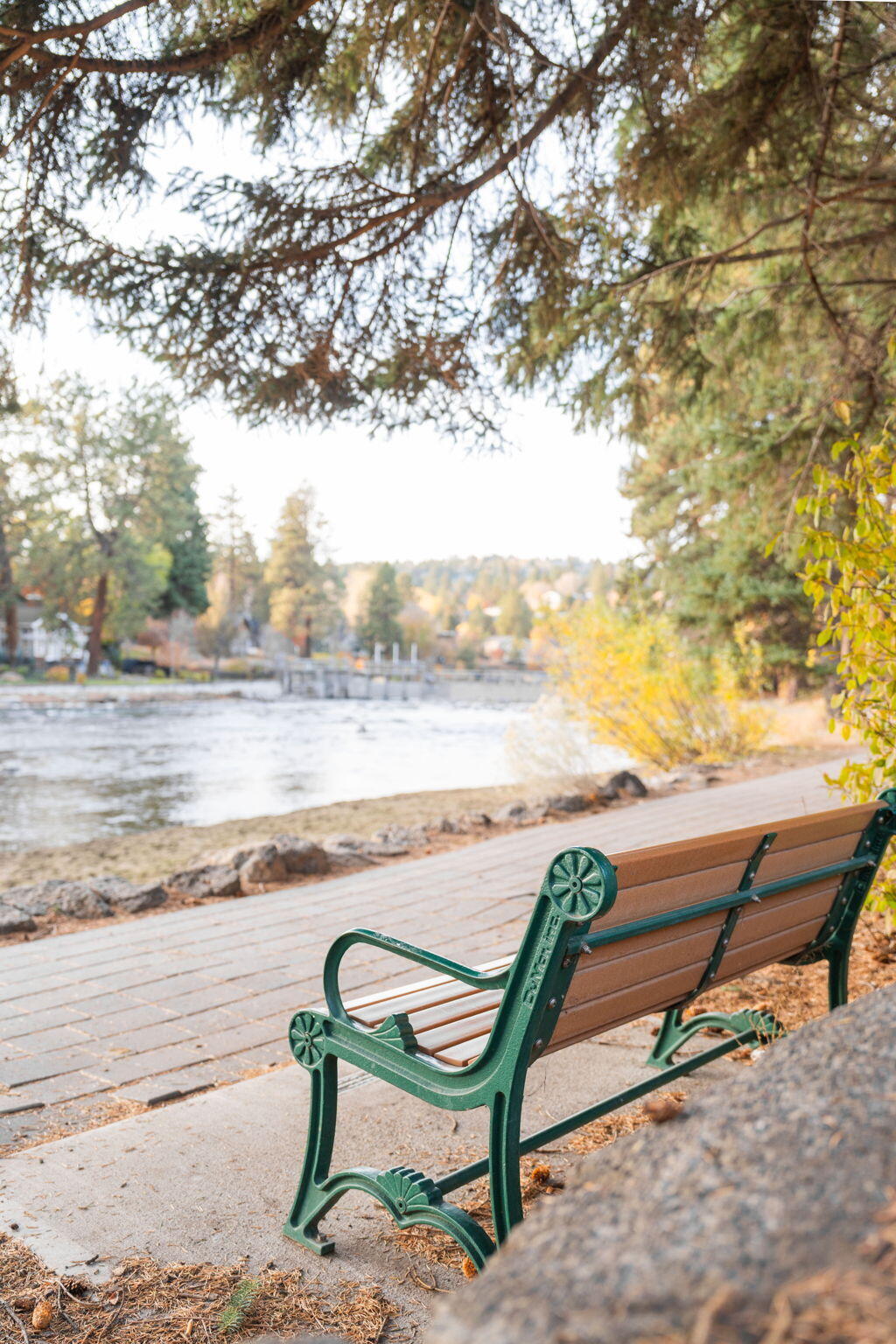 Pioneer Park Condominium - Residential