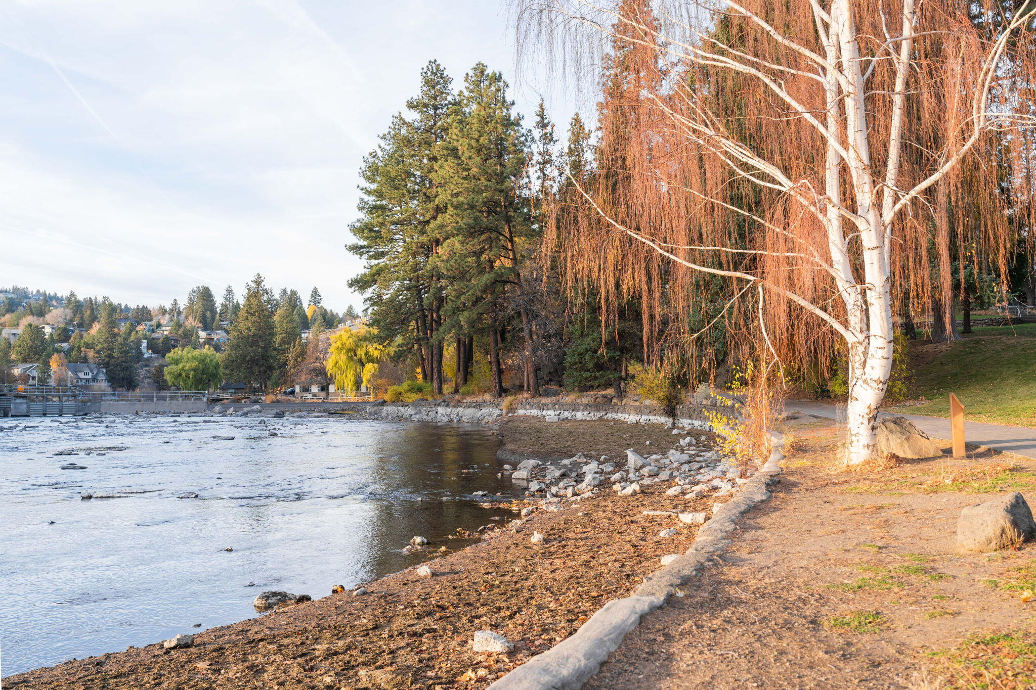 Pioneer Park Condominium - Residential