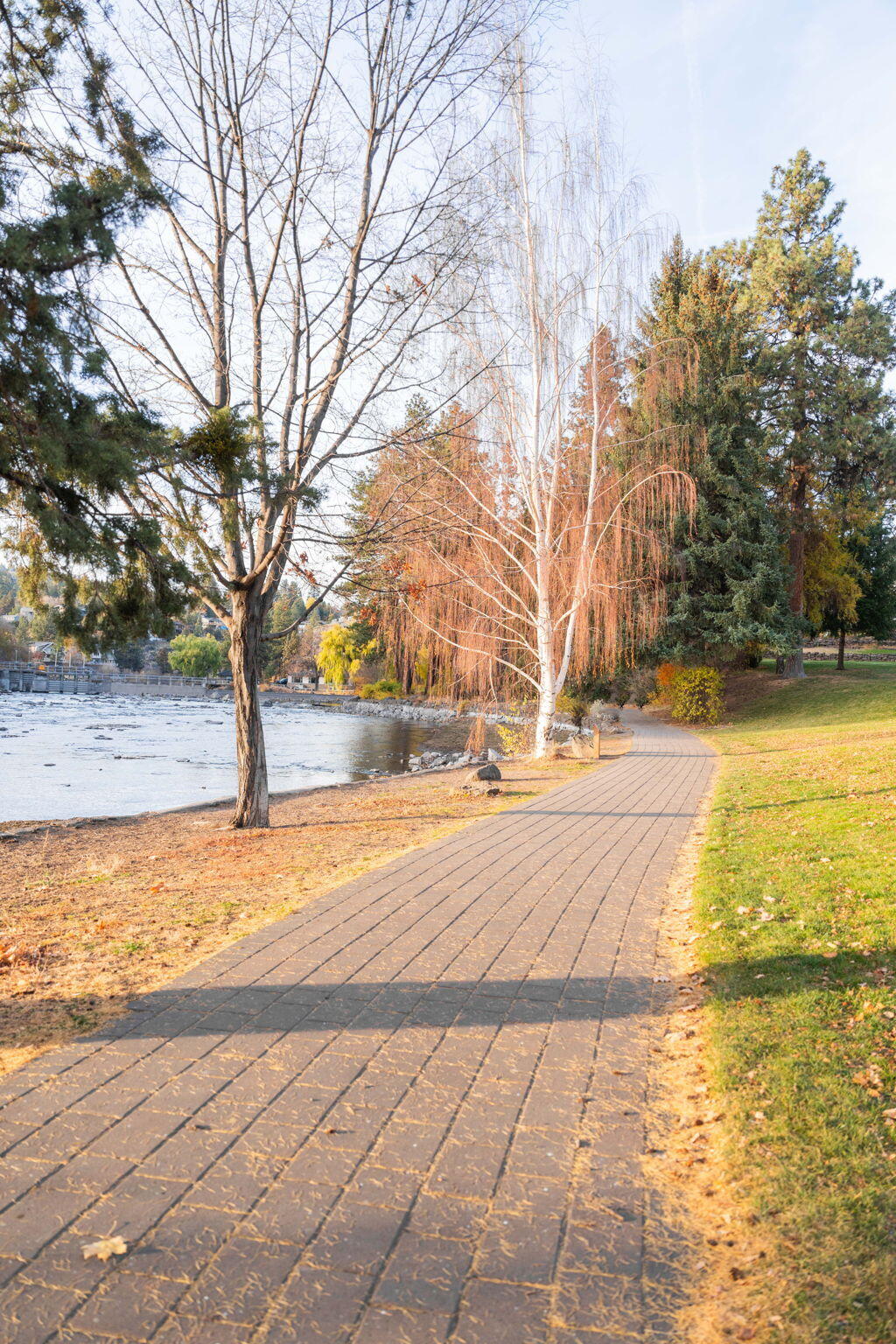 Pioneer Park Condominium - Residential