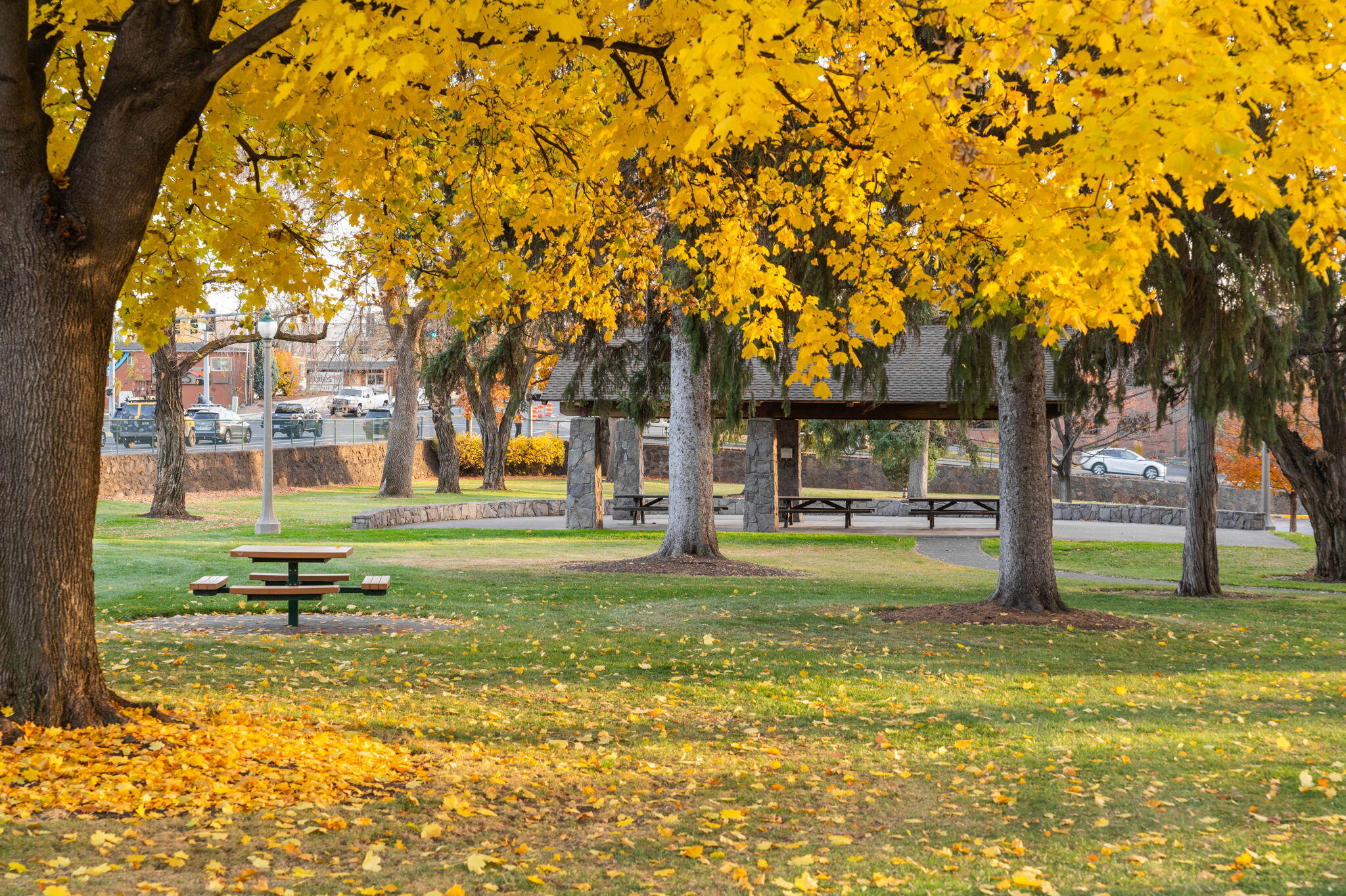 Pioneer Park Condominium - Residential