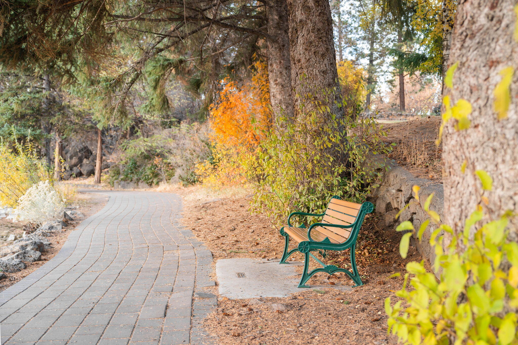 Pioneer Park Condominium - Residential