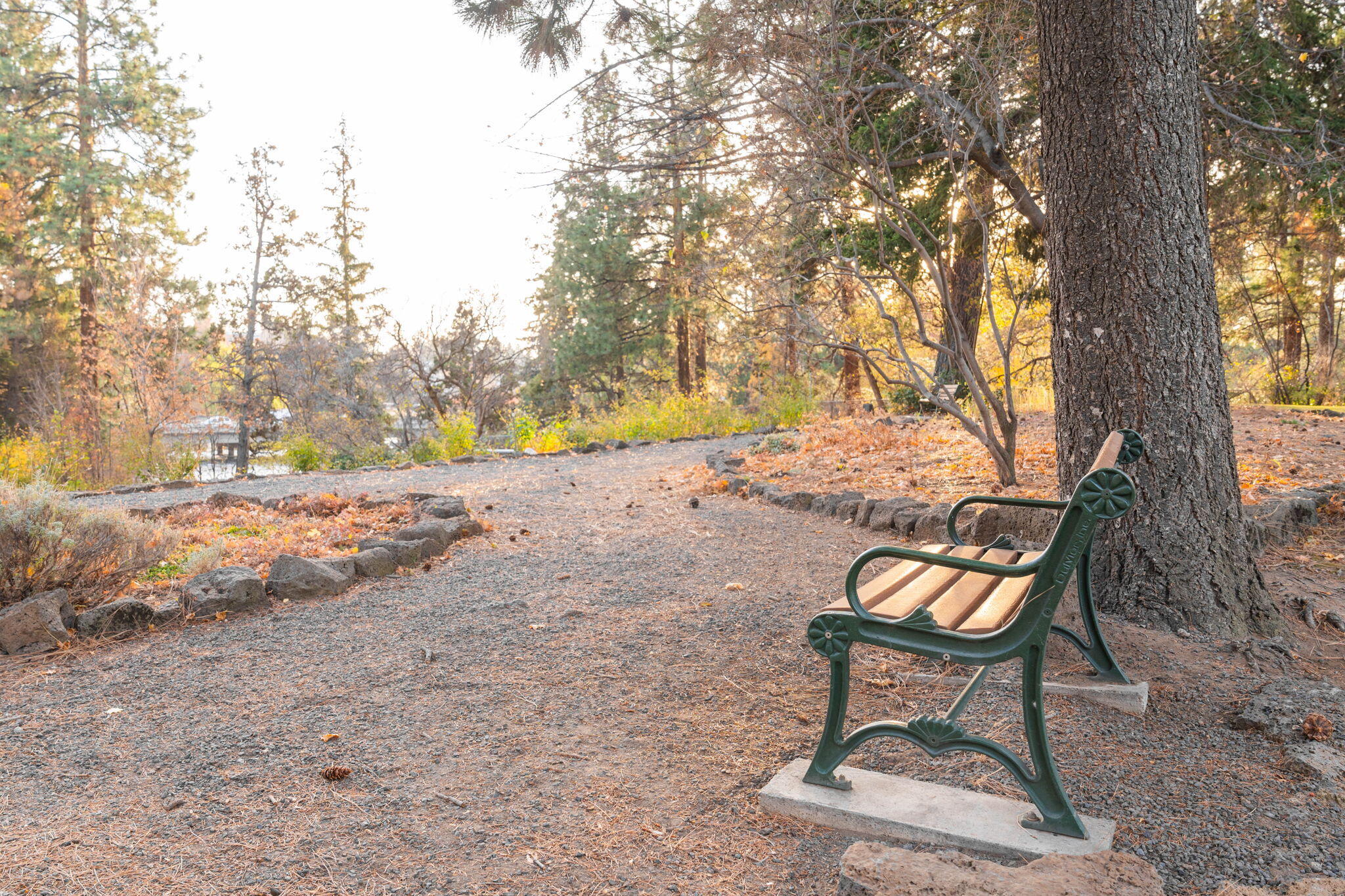 Pioneer Park Condominium - Residential