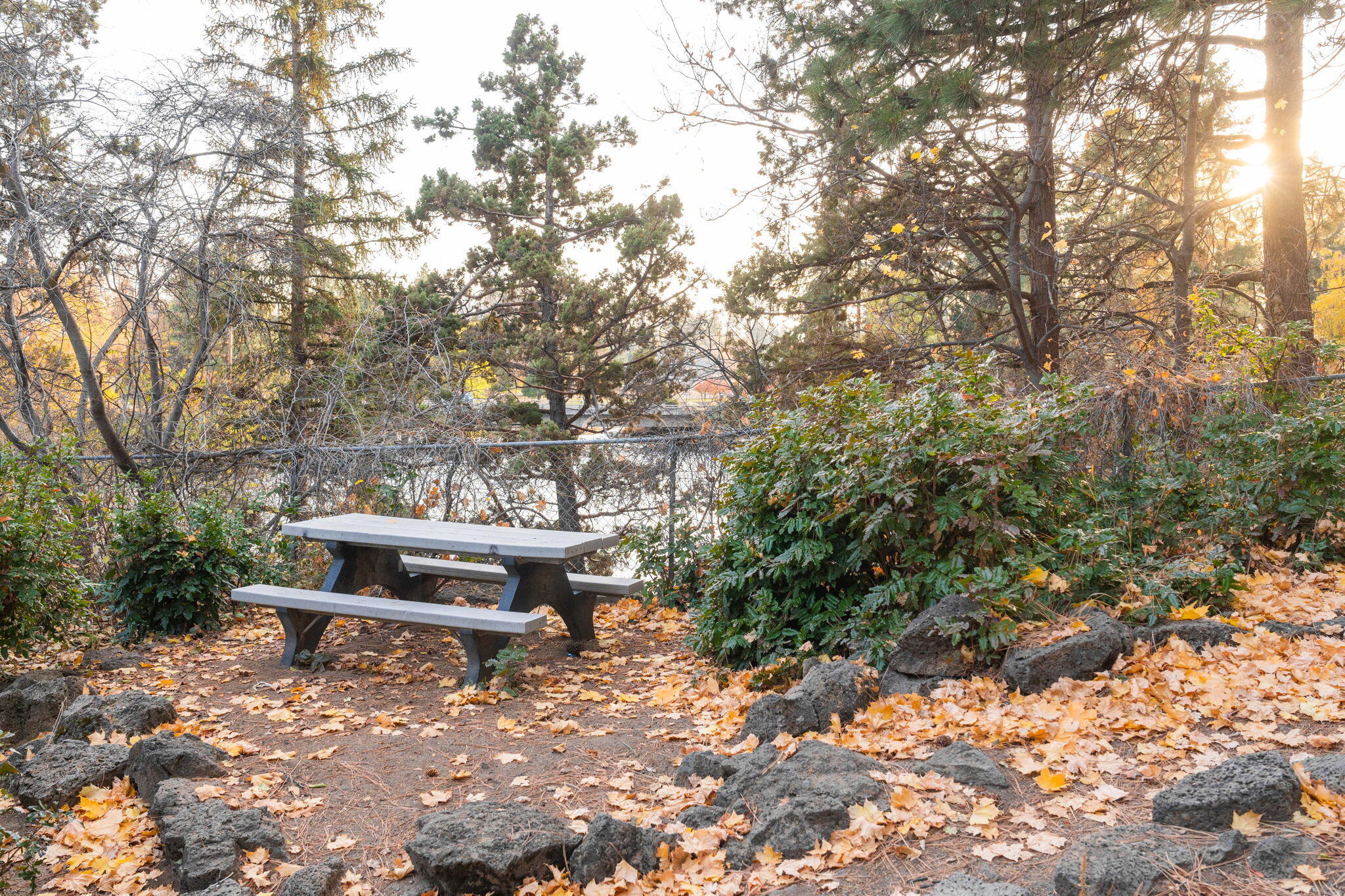 Pioneer Park Condominium - Residential