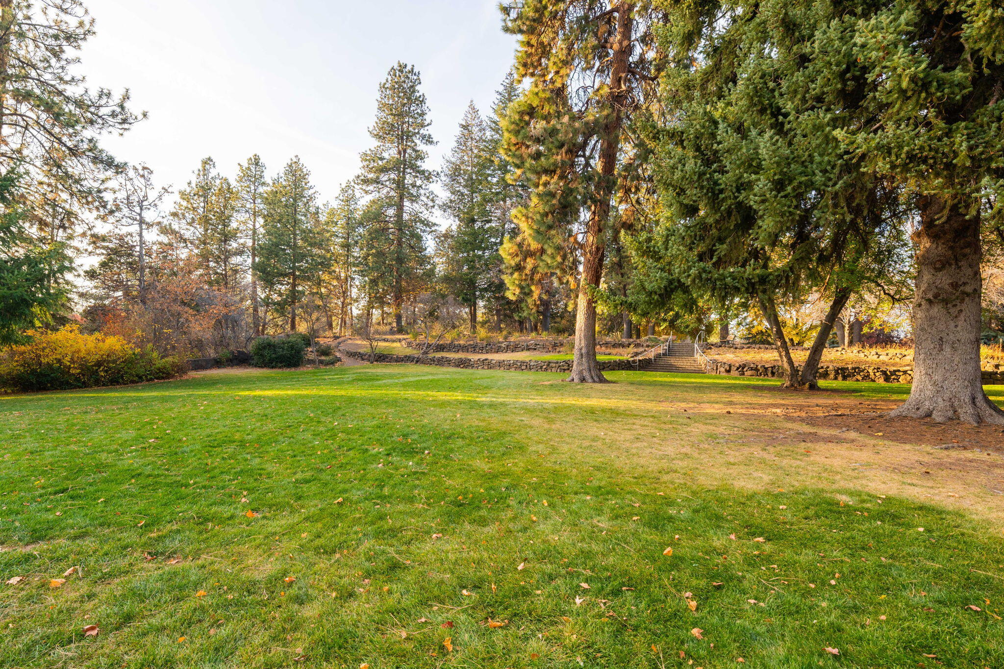 Pioneer Park Condominium - Residential