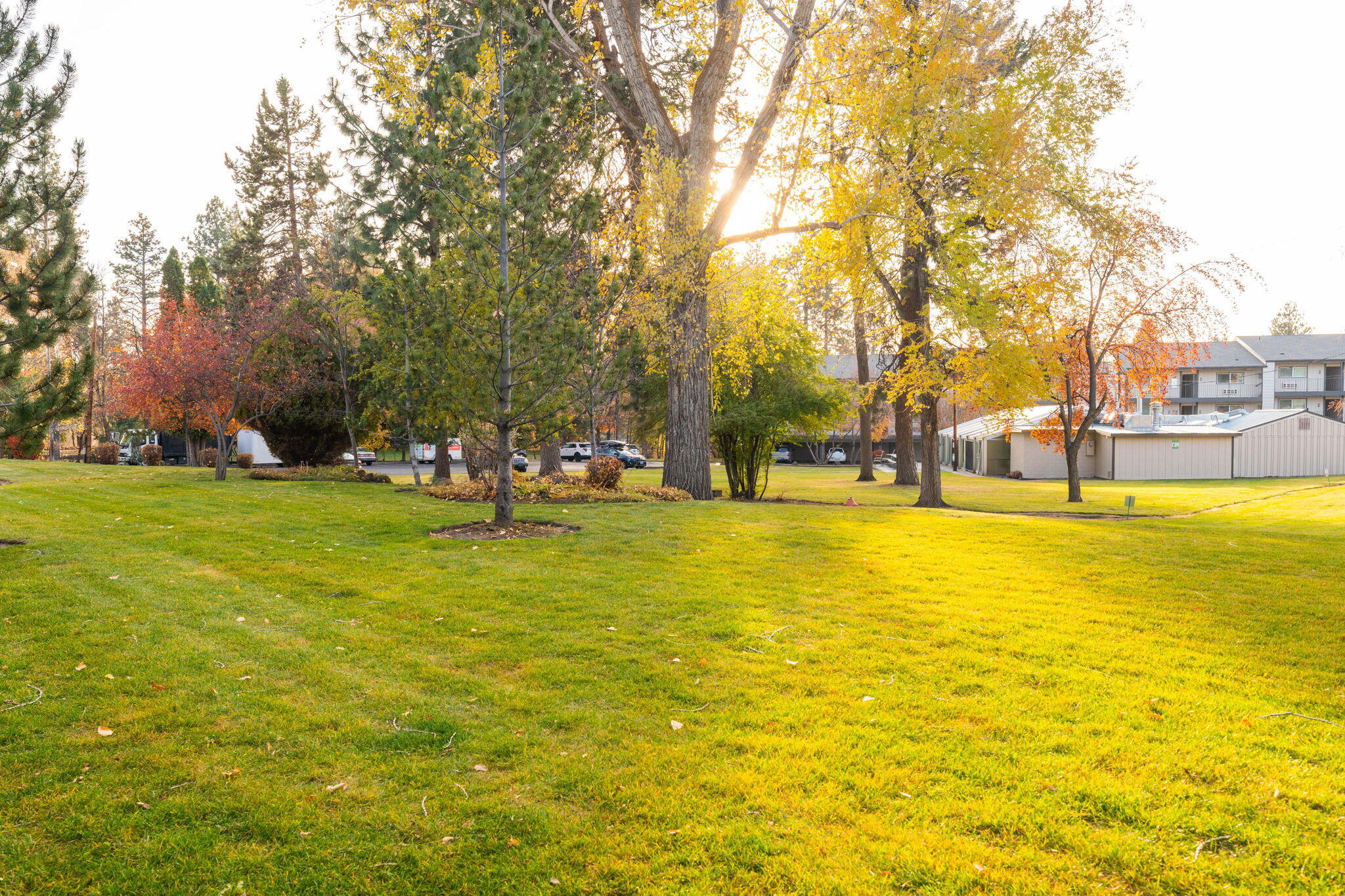 Pioneer Park Condominium - Residential