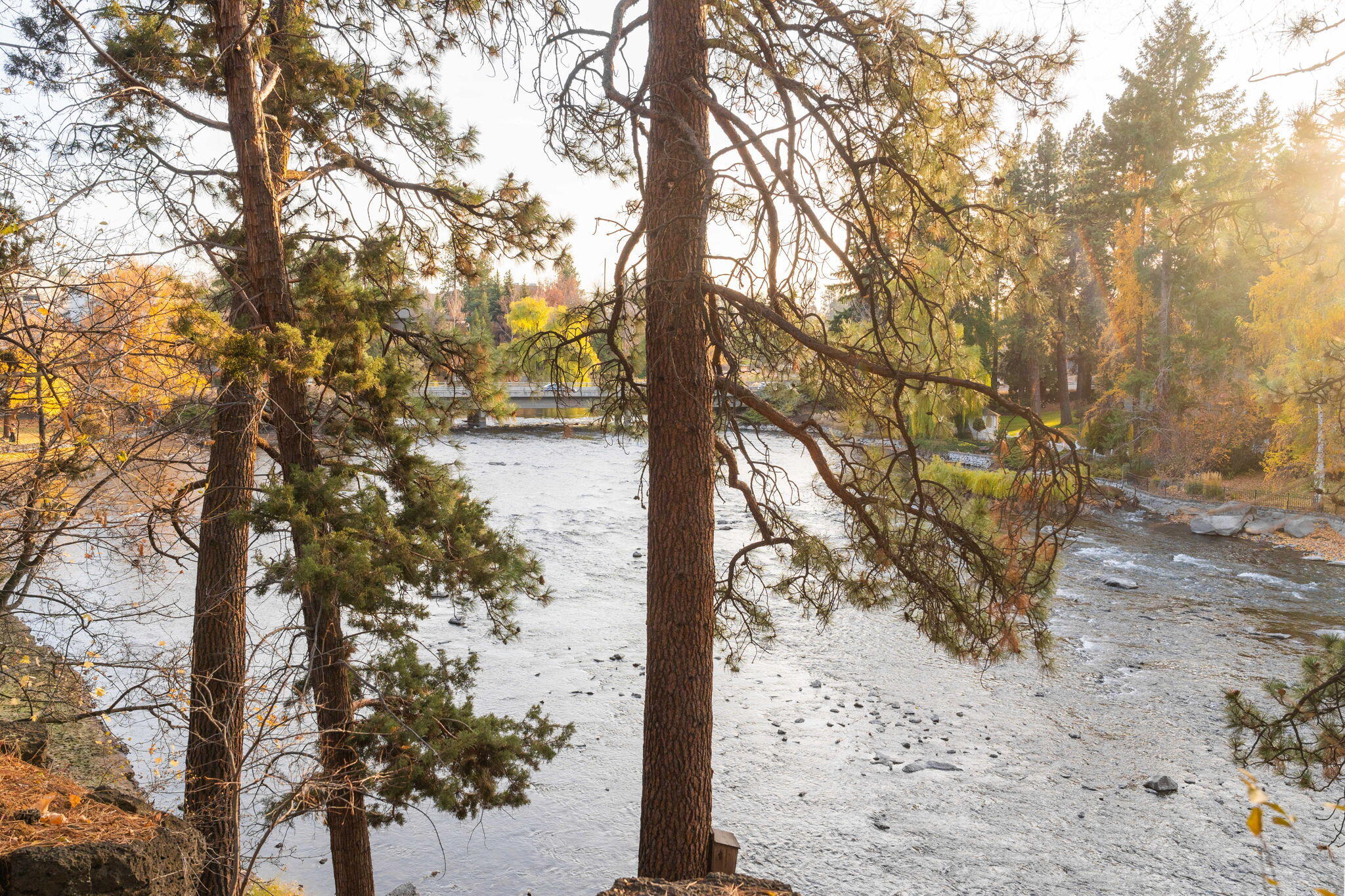 Pioneer Park Condominium - Residential