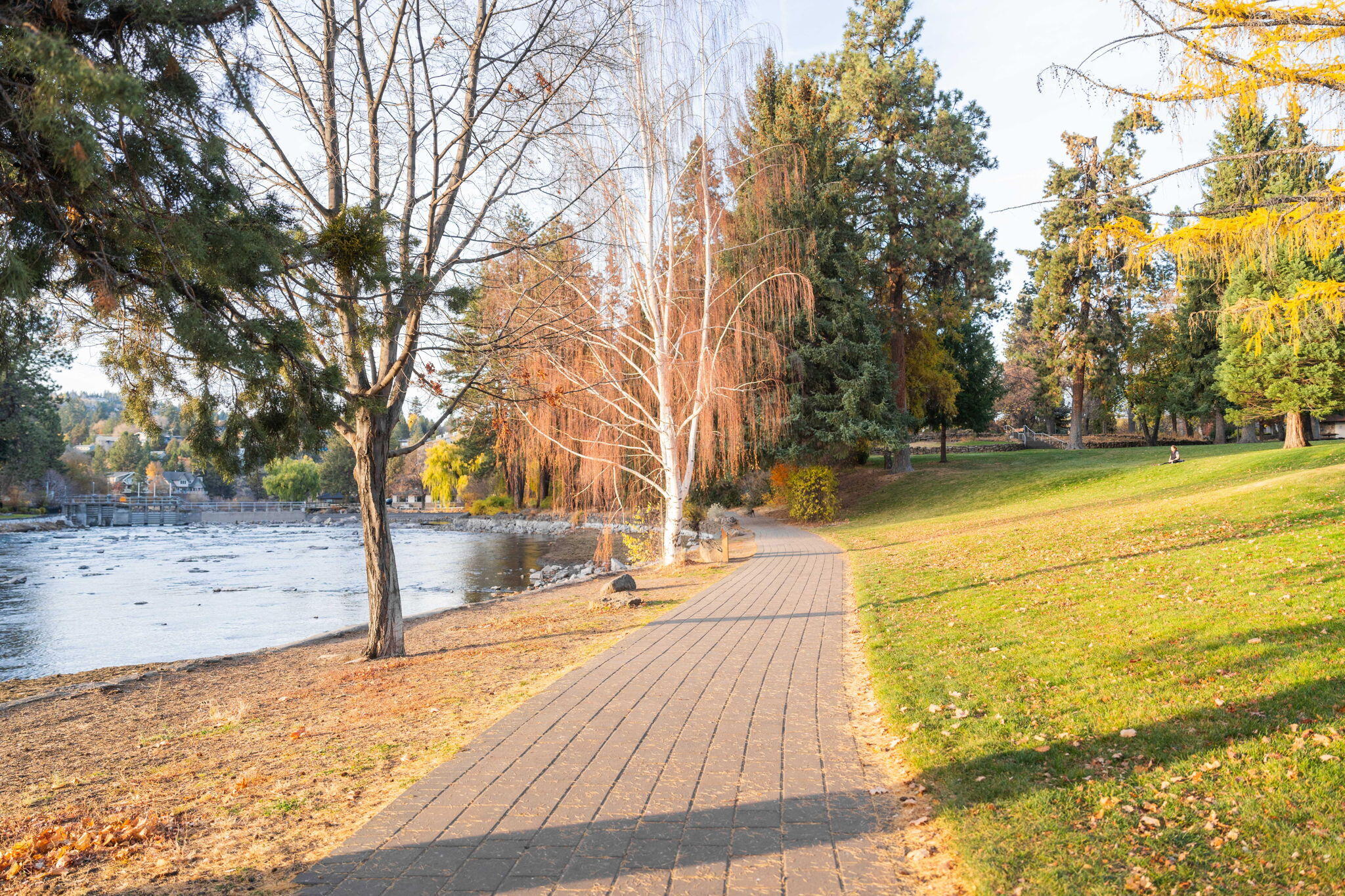 Pioneer Park Condominium - Residential