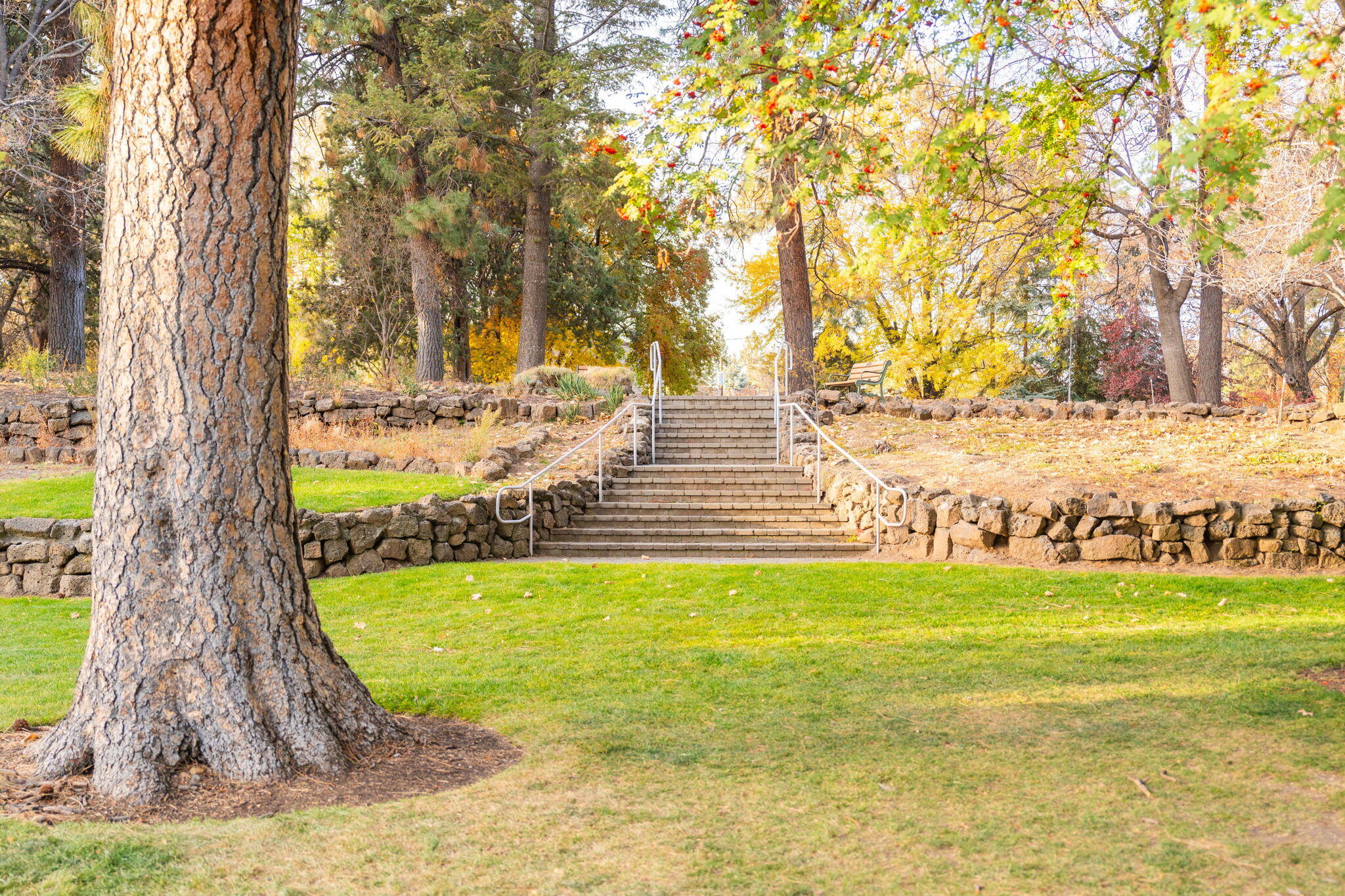 Pioneer Park Condominium - Residential