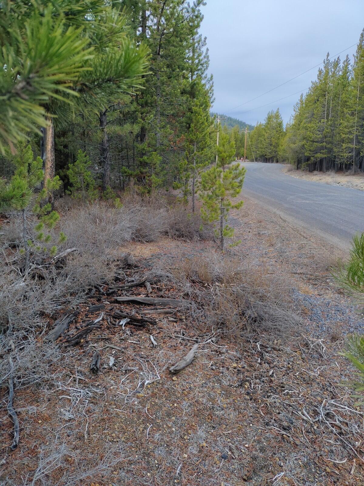 Two Rivers North - Land