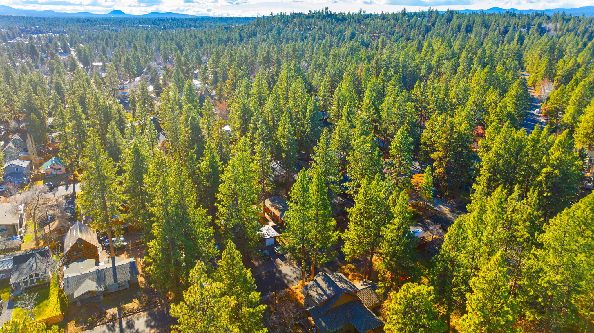 Bonne Home - Residential