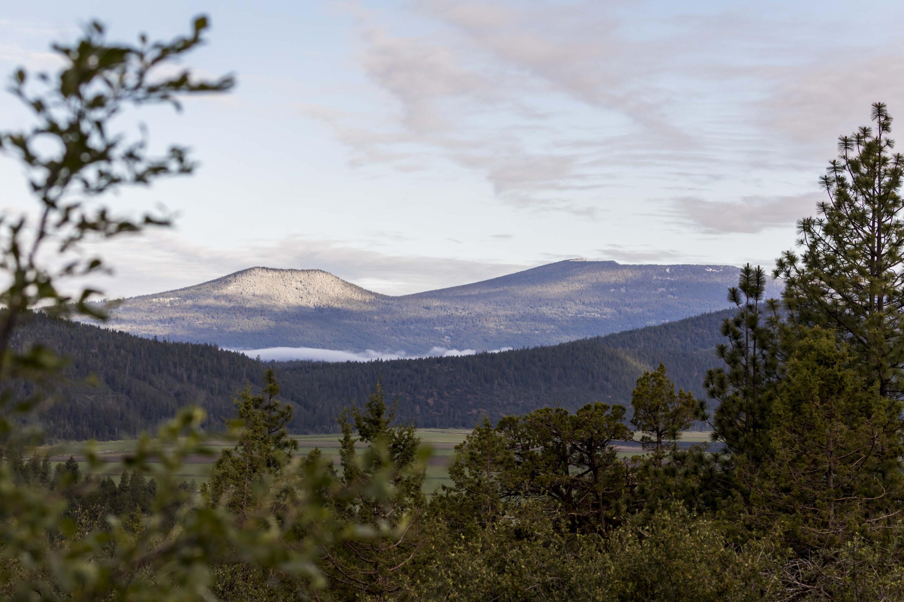 Ridgewater Subdivision -Phase 1 - Land