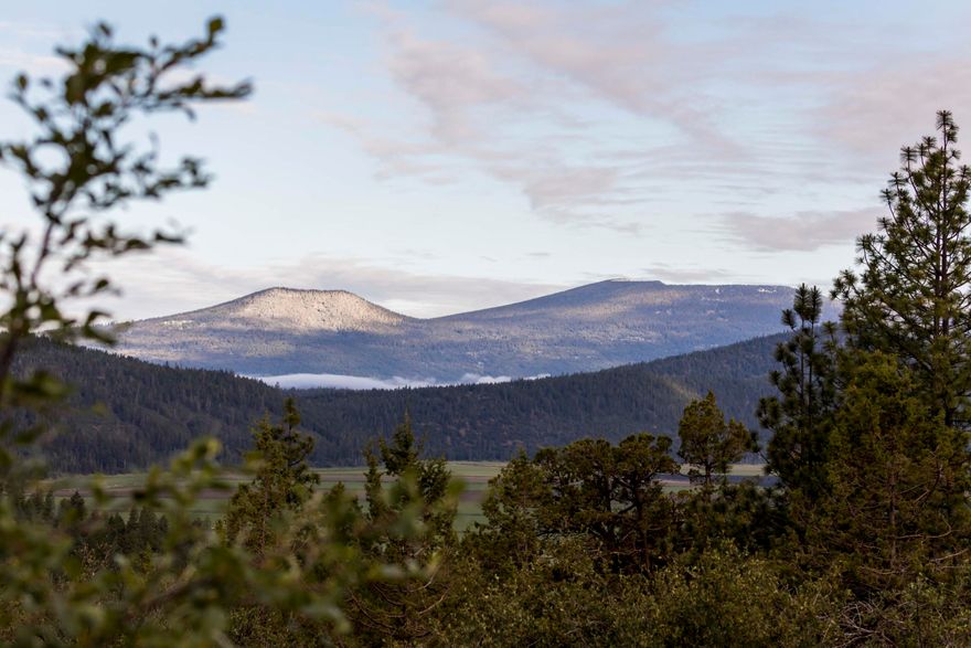 Privacy, security & access to hiking are just a part of your forever home location. This lot is part of a limited offering of homesites in sunny Southern Oregon's Premier gated community of RidgeWater Properties. The Lookout Point Phase of RidgeWater features views of Mt. Shasta down in to the Basin & as far as the Klamath River. Few homesites offer this much privacy & the extraordinary wildlife viewing & birding opportunities that you deserve.  Protective CCRs, walking & riding trails. Planned fitness, equestrian and RV centers.  Klamath Falls is experiencing an economic growth period, do not miss this opportunity to own or invest in this beautiful community.  Each homesite is shovel ready with all utilities, and a private water system. Call today for your personal tour!