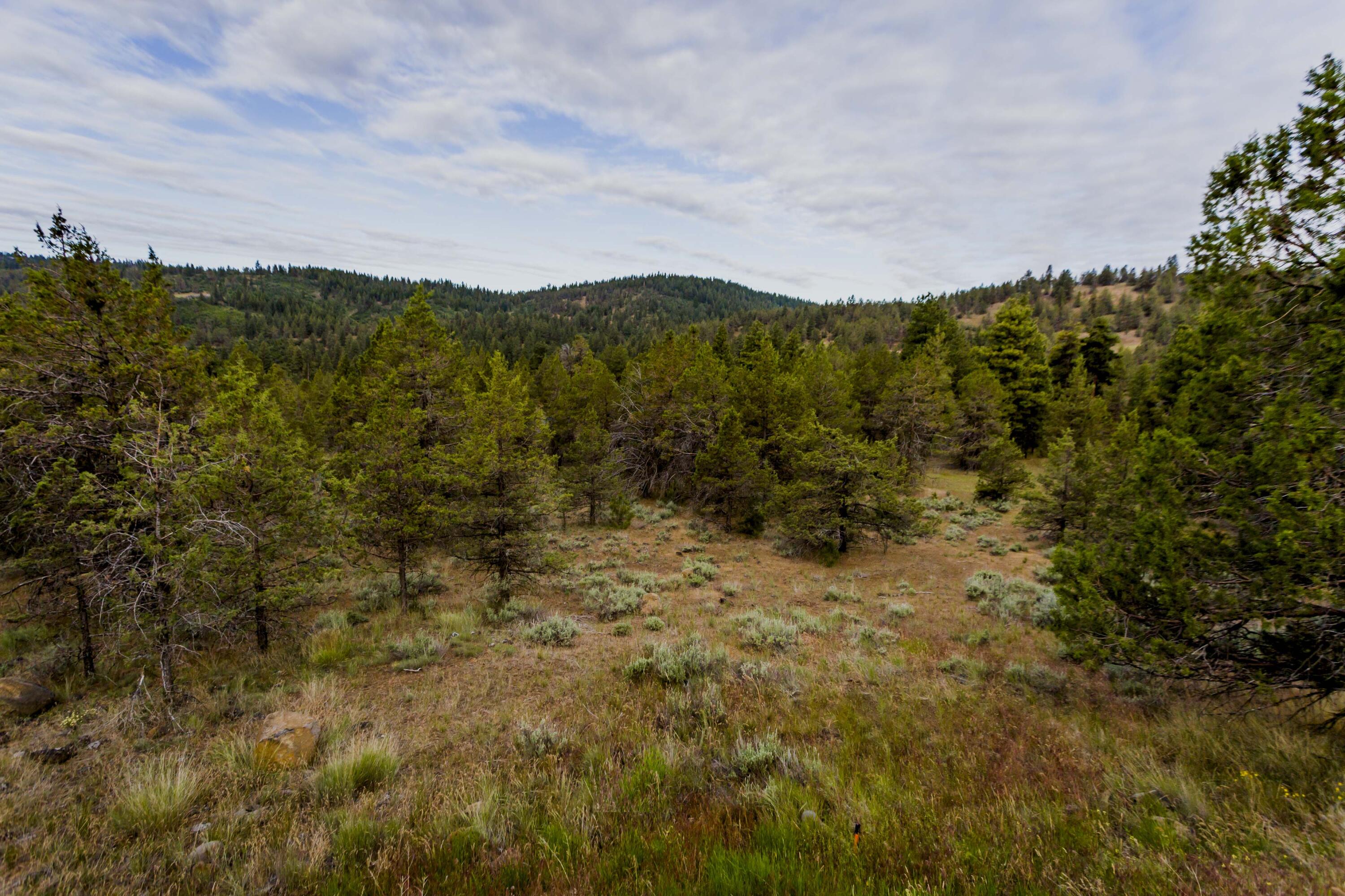 Ridgewater Subdivision -Phase 1 - Land