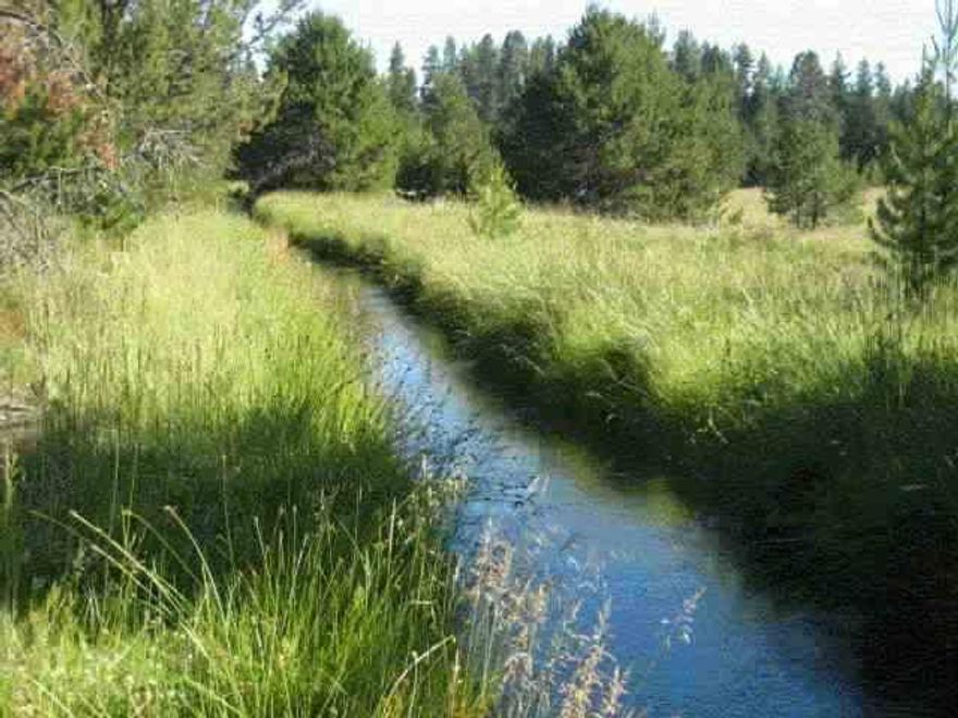 Back Of Property Is Bordered By Irrigation Ditch With Crystal Clean Water. Tree Covered Parcel In Remote Subdivision Between Klamath And Bend. Power Available, In Recreational Paradise Near Crater Lake National Park. East Side Is Bordered By A Ranch And Open Fields. Owners Are Real Estate Agents.