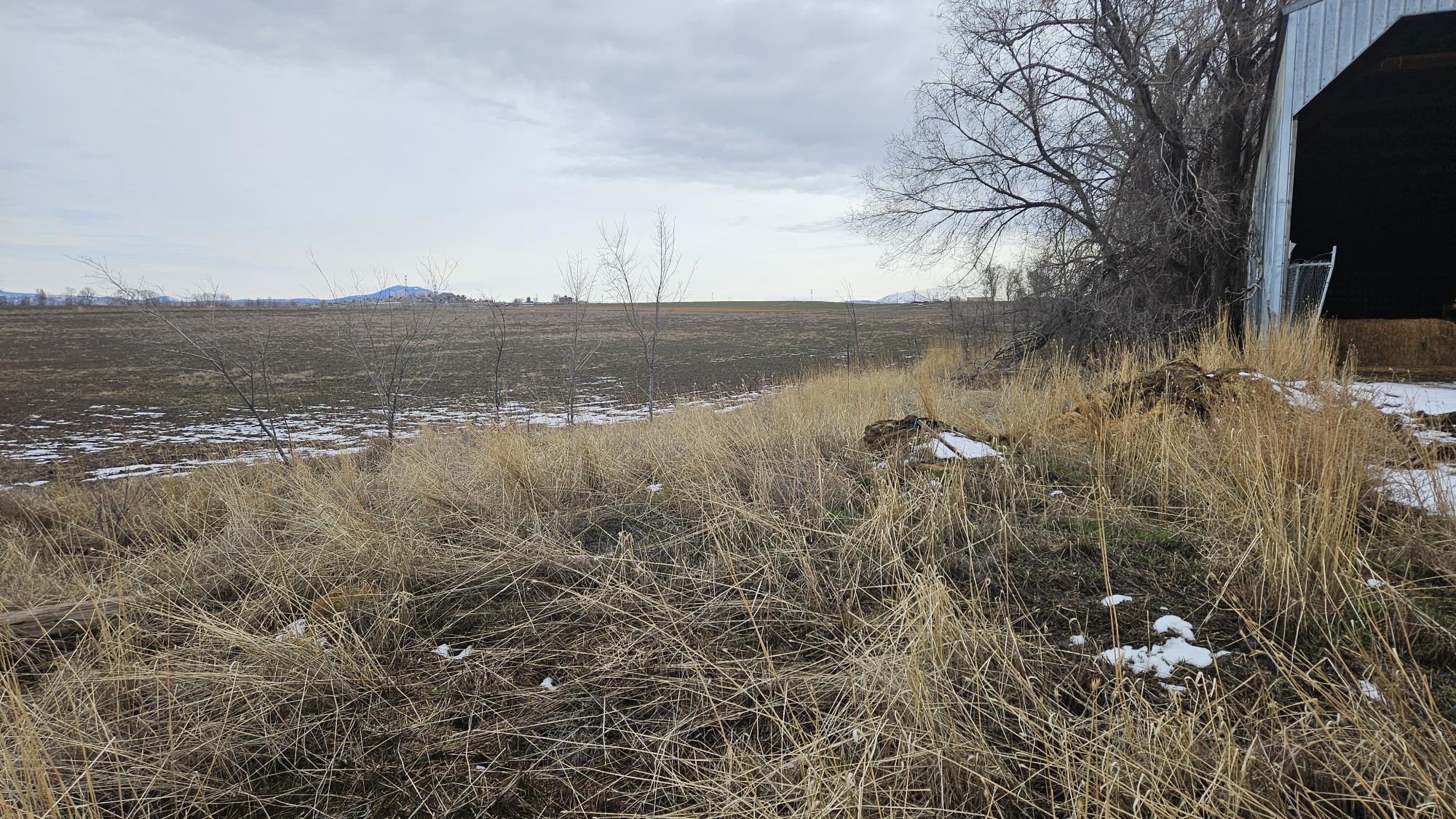Metolius Townsite - Land
