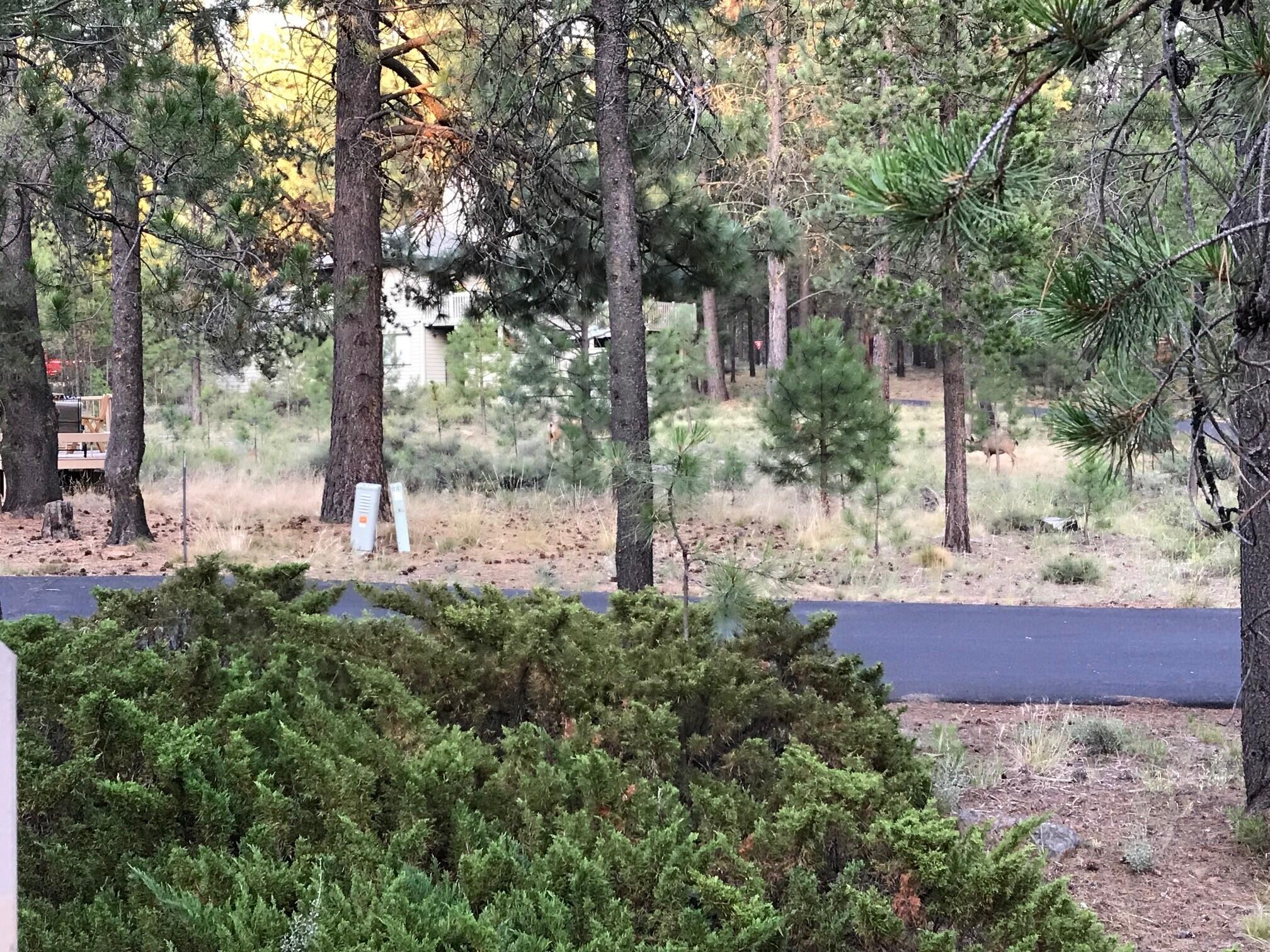 Mtn Village East - Residential