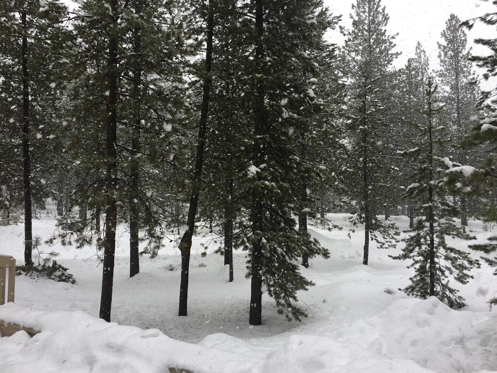 Mtn Village East - Residential