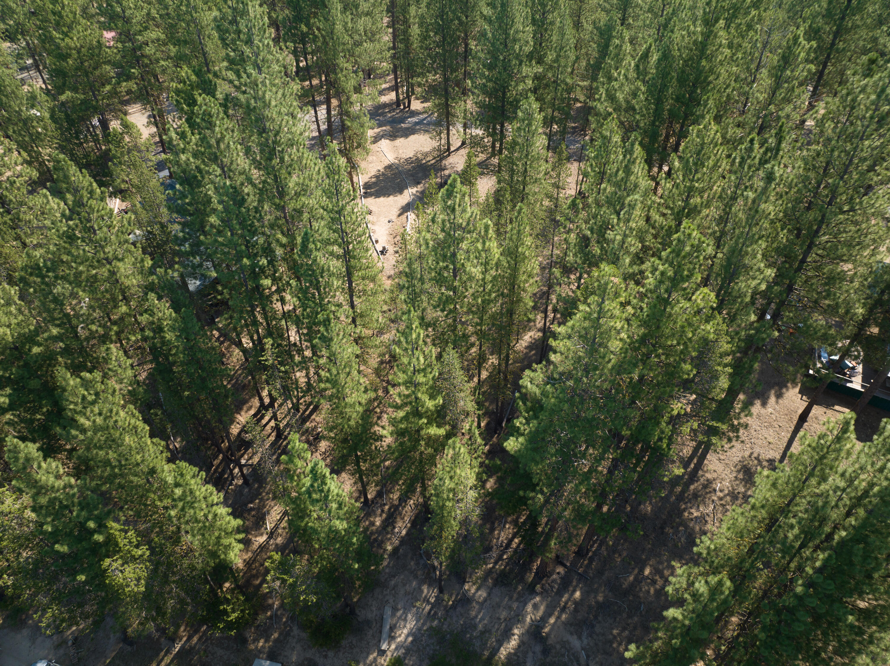 Haner Park - Residential