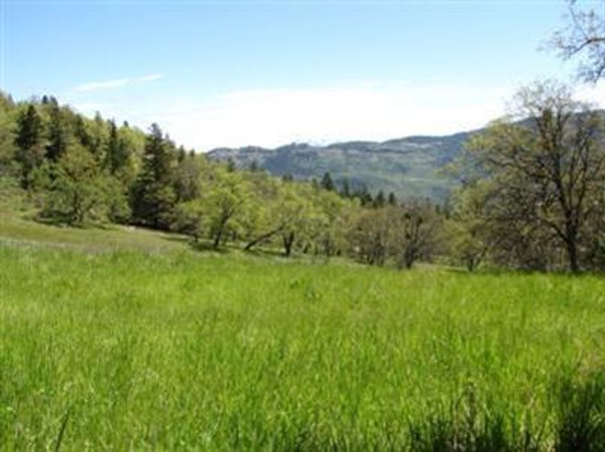 This 1365+/- acre ranch is abundant with untouched wilderness; merchantable timber, trophy wildlife, open meadows and sweeping mountain views to the valley floor. Consisting of 19 separate tax lots, three points of access via, Medford, Ashland and Eagle Point - and located only three miles as a crow flys from Medfords Sun ridge Estates, is what creates this ranch's potential as an unrivaled investment opportunity. Adjoined by public and private land, the property is saturated with multiple water sources, & the diverse topography is useful and accessible. See Virtual Tour for more details.