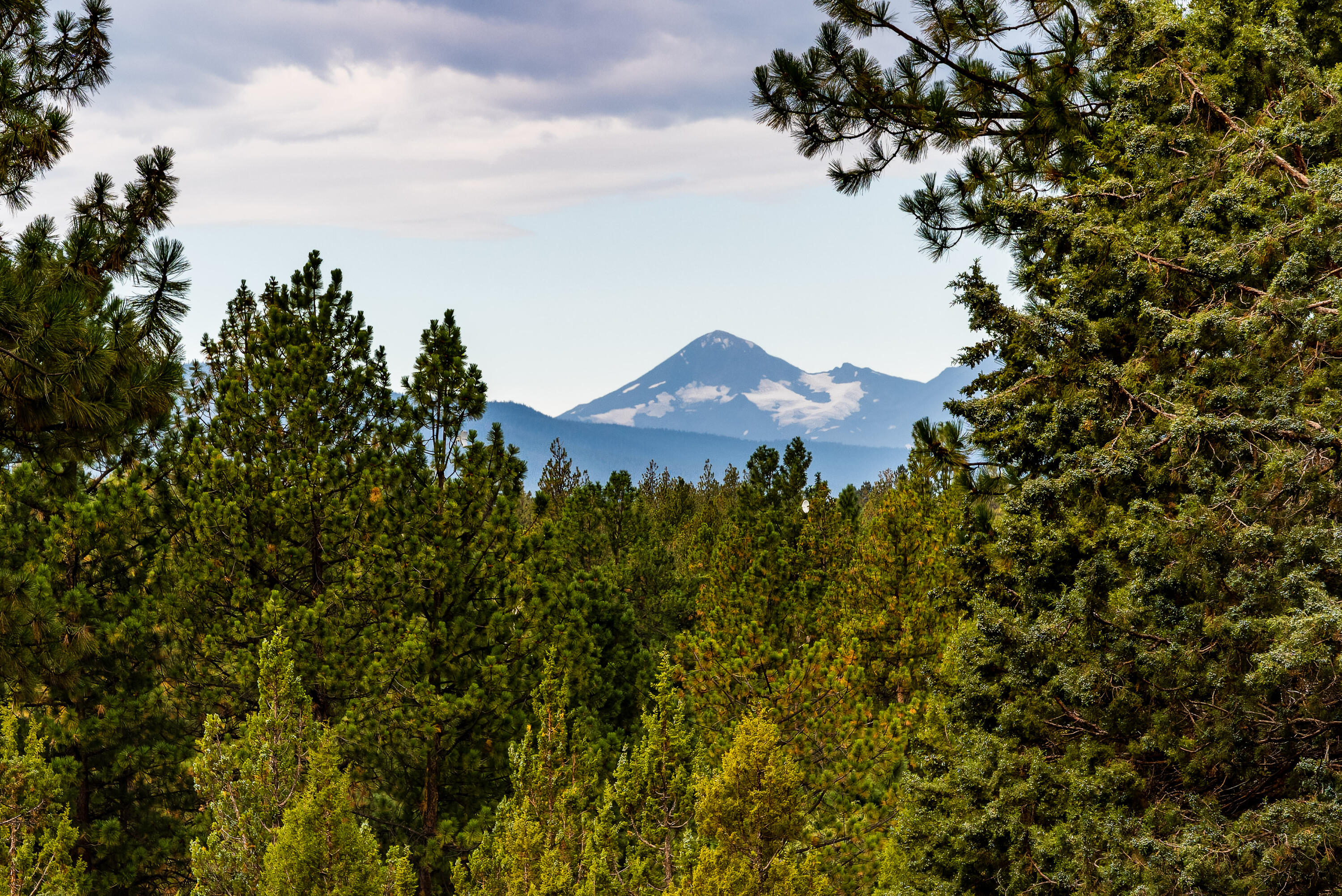 Saddleback - Residential