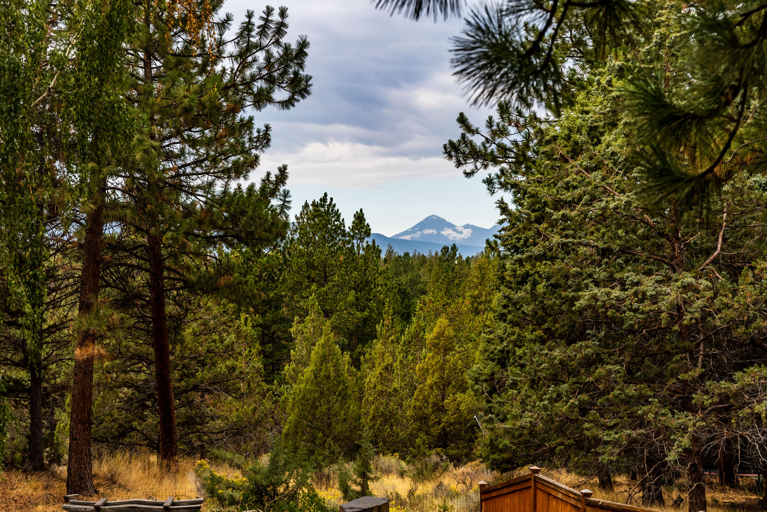 Saddleback - Residential