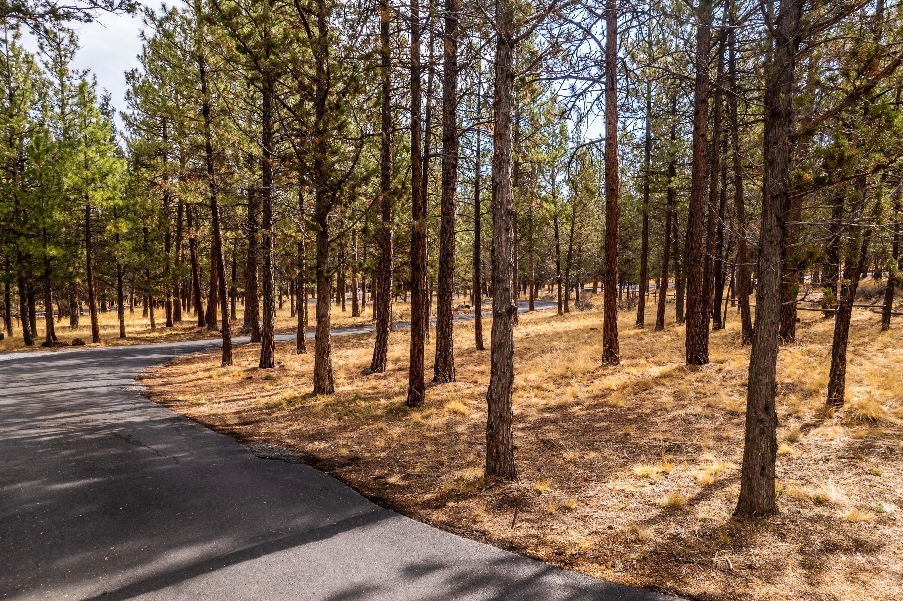 Saddleback - Residential