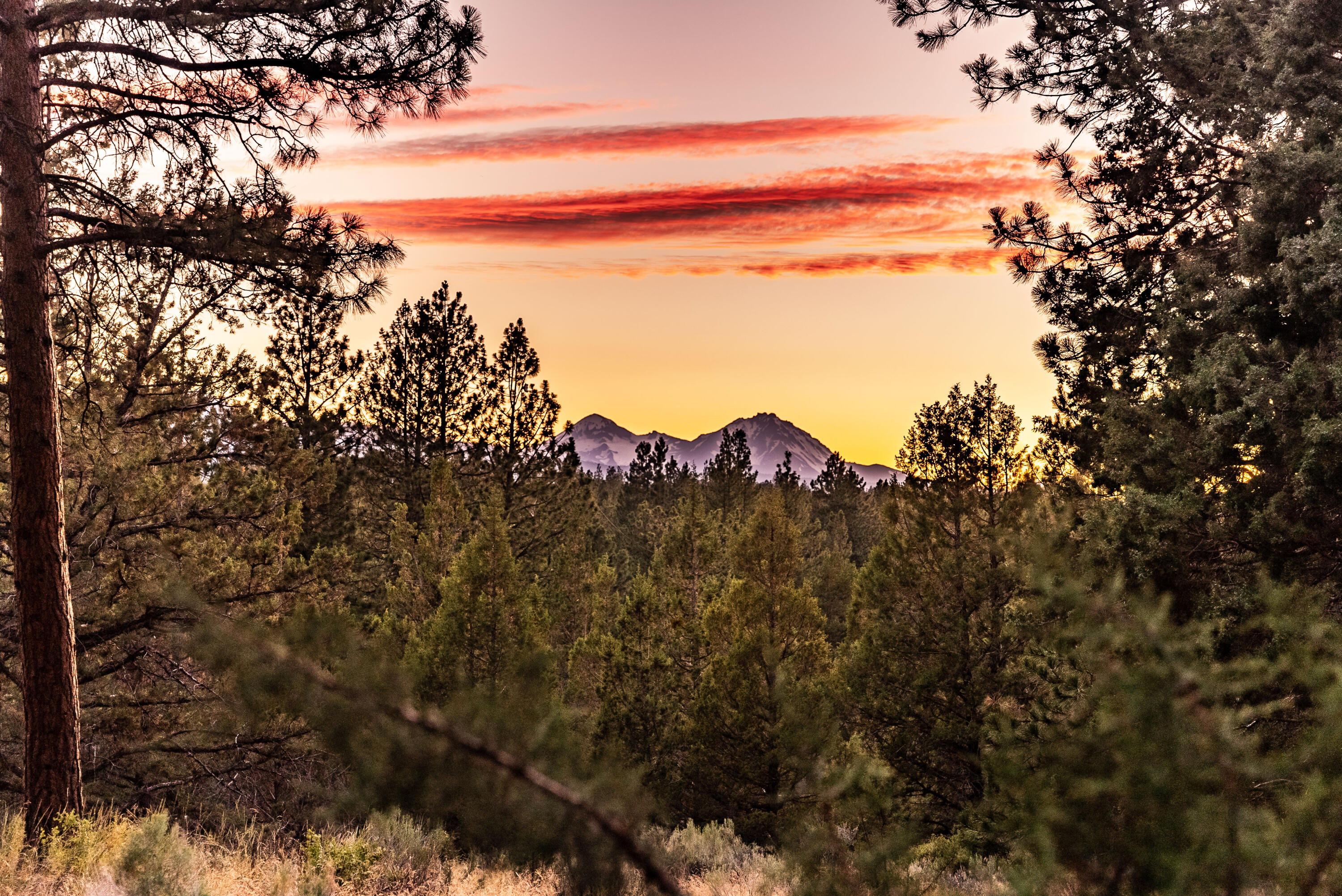 Saddleback - Residential