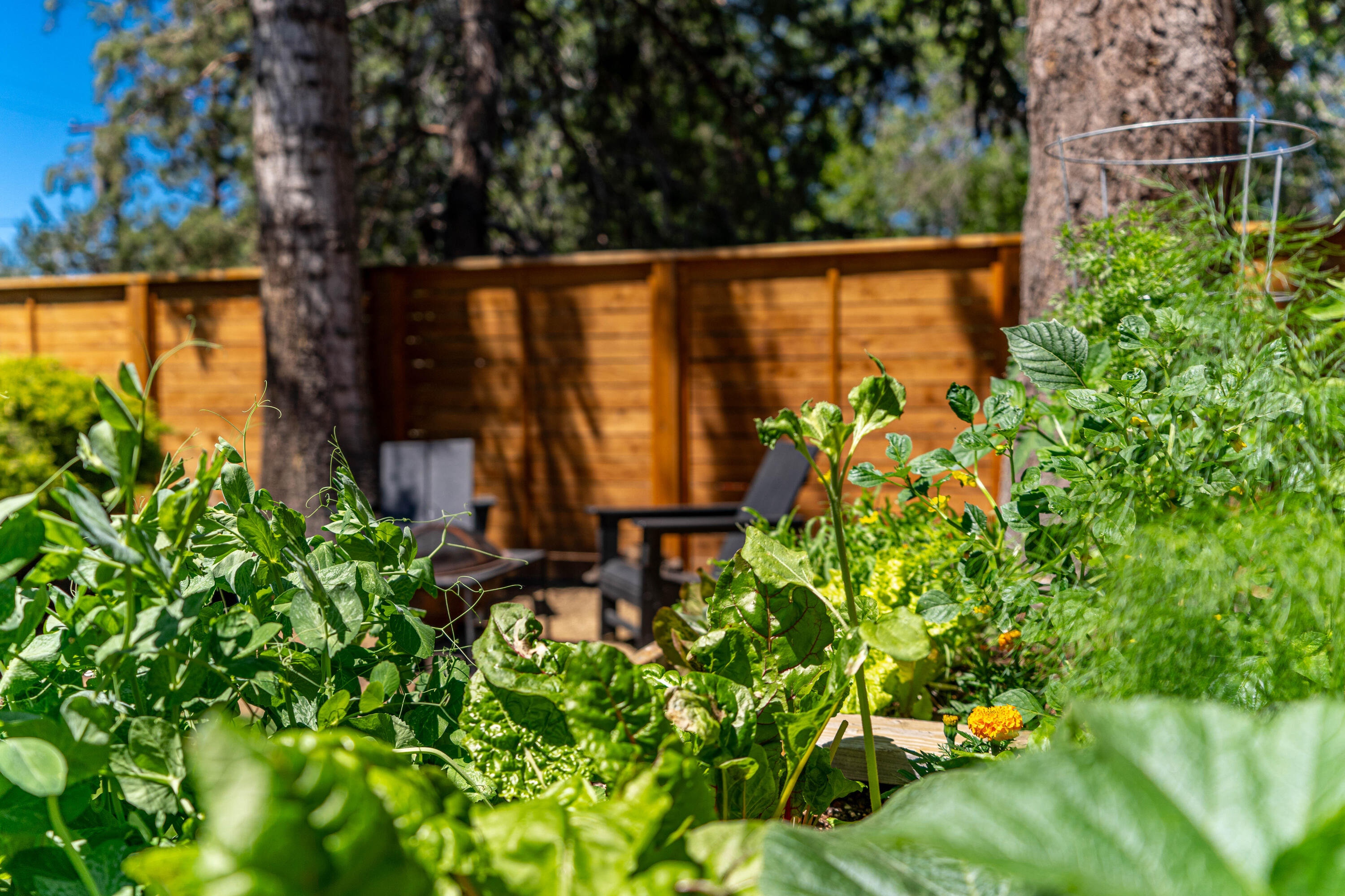 Wiestoria - Residential