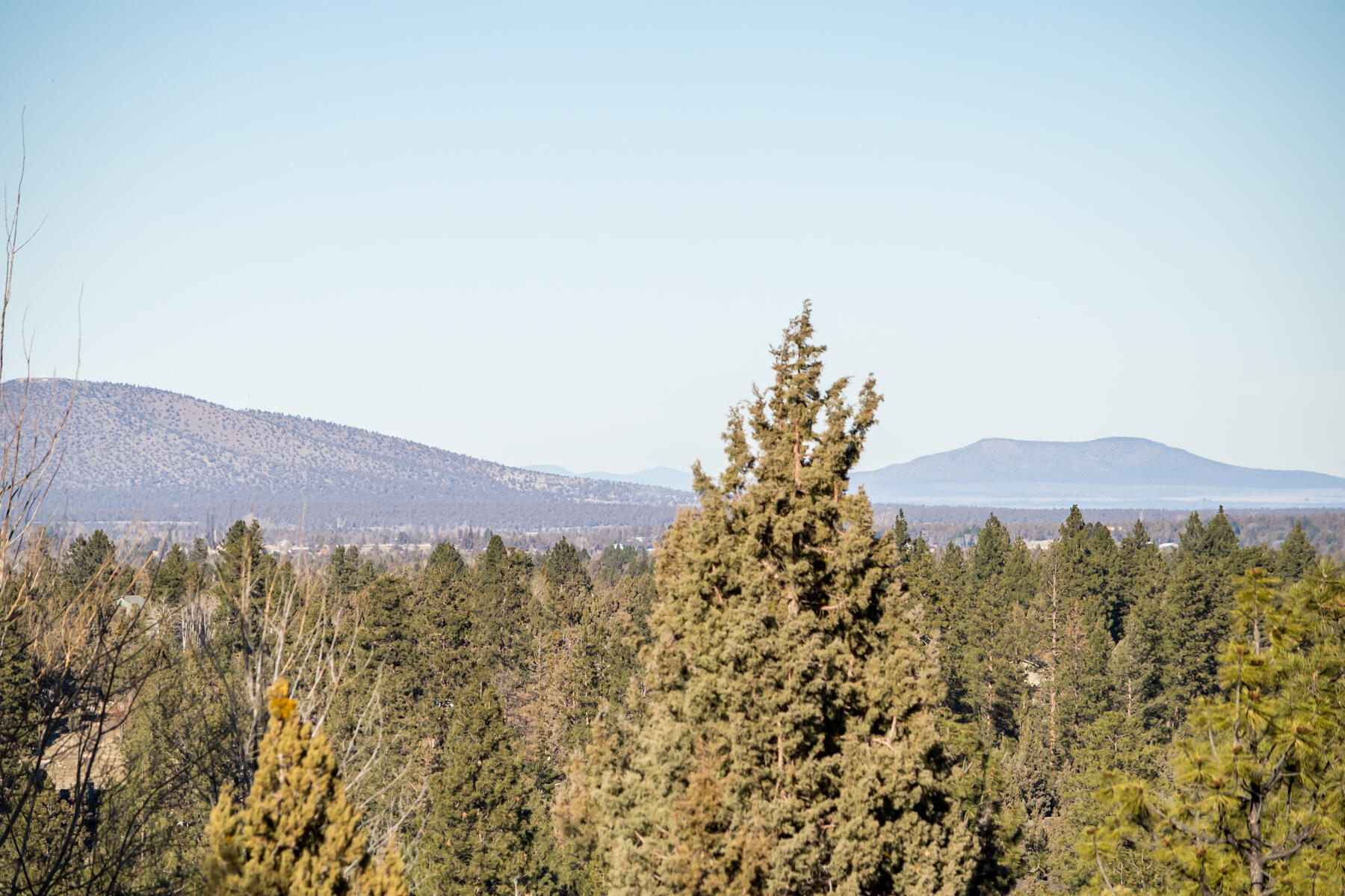 Wyndemere - Residential