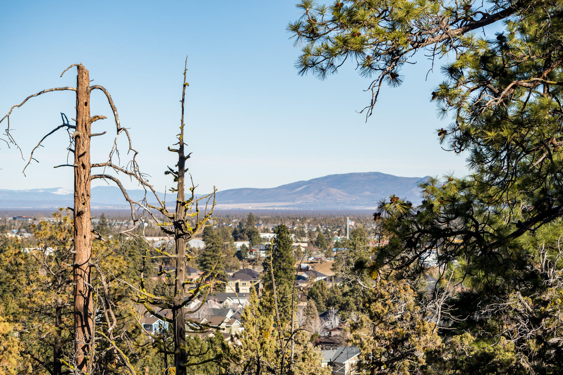 Wyndemere - Residential