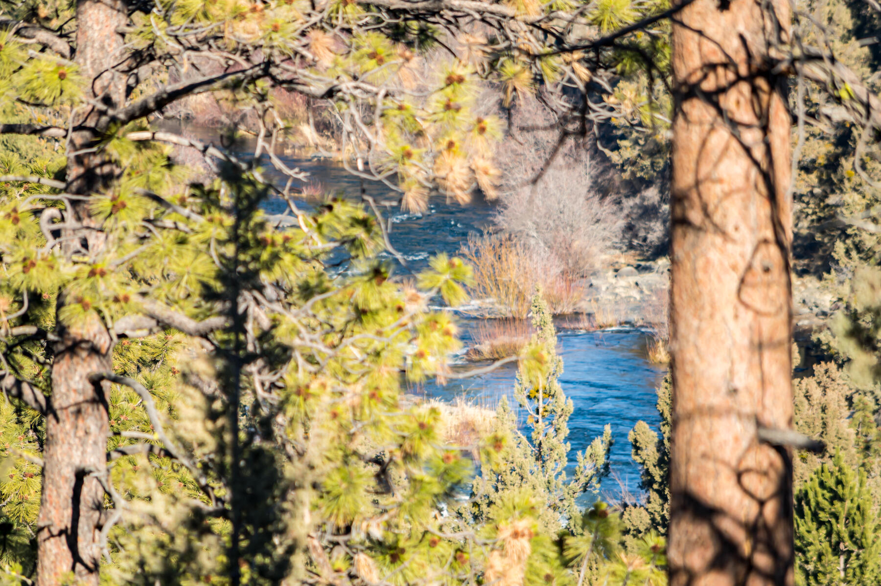 Wyndemere - Residential