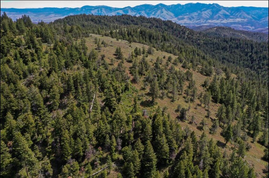 360 acres two tax lots, excellent hunting/recreation property bordering National Forest on the North, Oregon  Department of State Lands on the East, borders private lands on the south and west.  Forest setting with Ponderosa pines, Doug fir ,White fir & Juniper trees. Beautiful views of the mountains and valley. If you love, hiking, hunting, horseback riding, getting away from it all, this is the perfect property.
Property qualifies for Land owner Preference tags in the Northside Hunting Unit, contact Oregon Department of Fish and Wildlife for information.