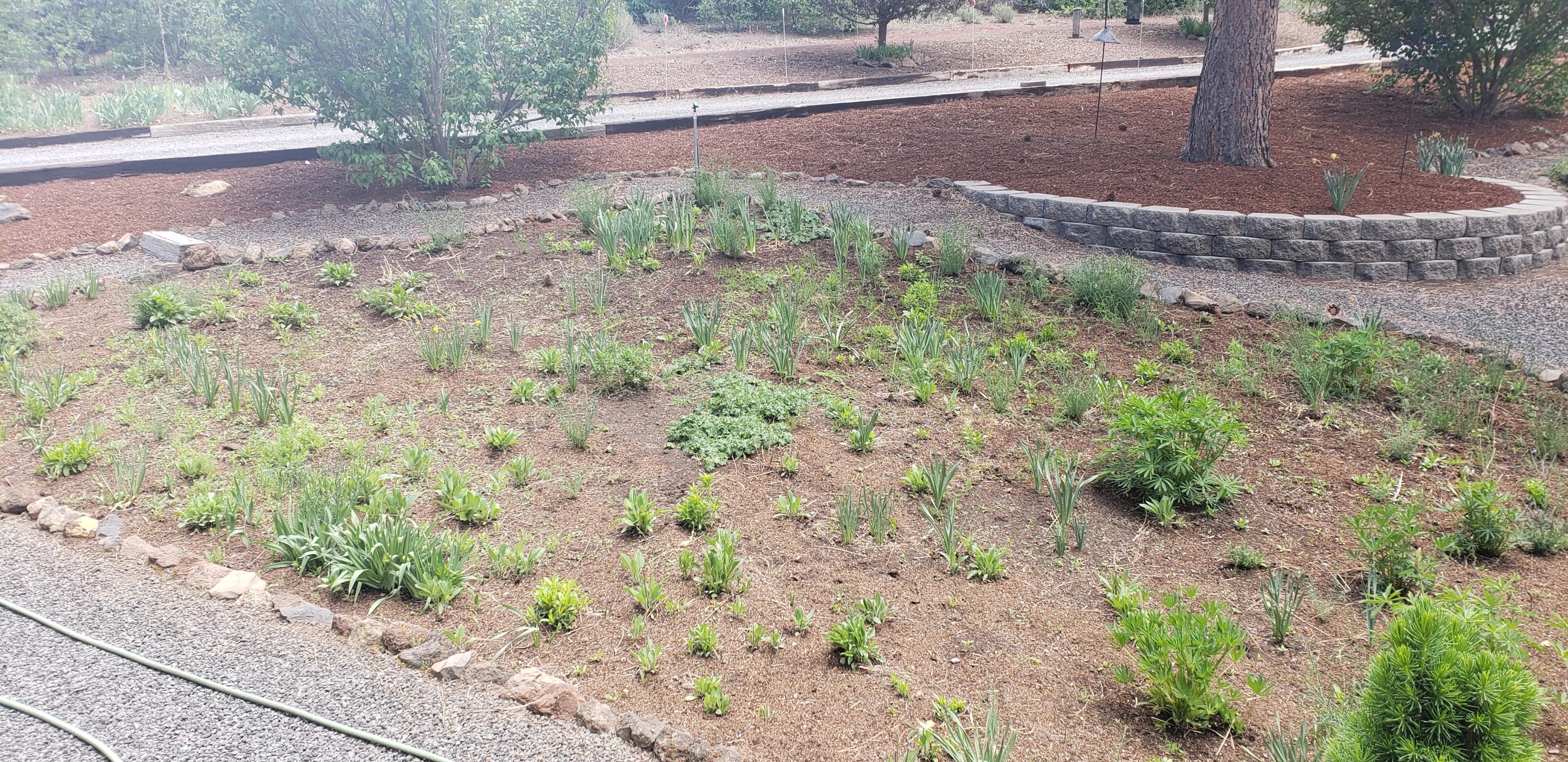 Monte Vista Ranch - Residential