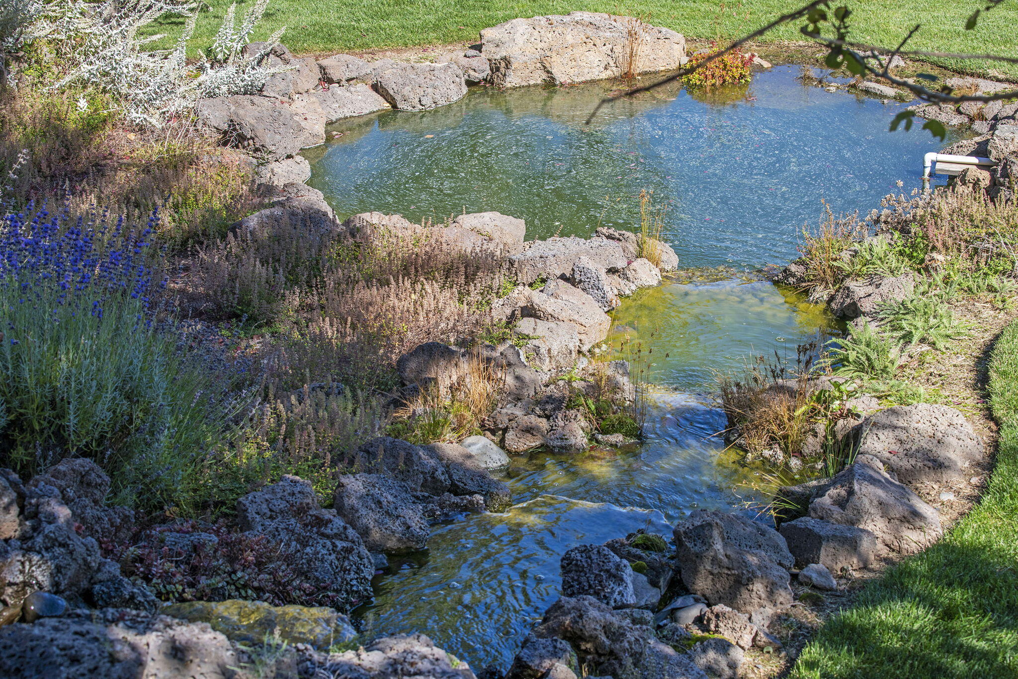 Sun Cloud Estate - Residential