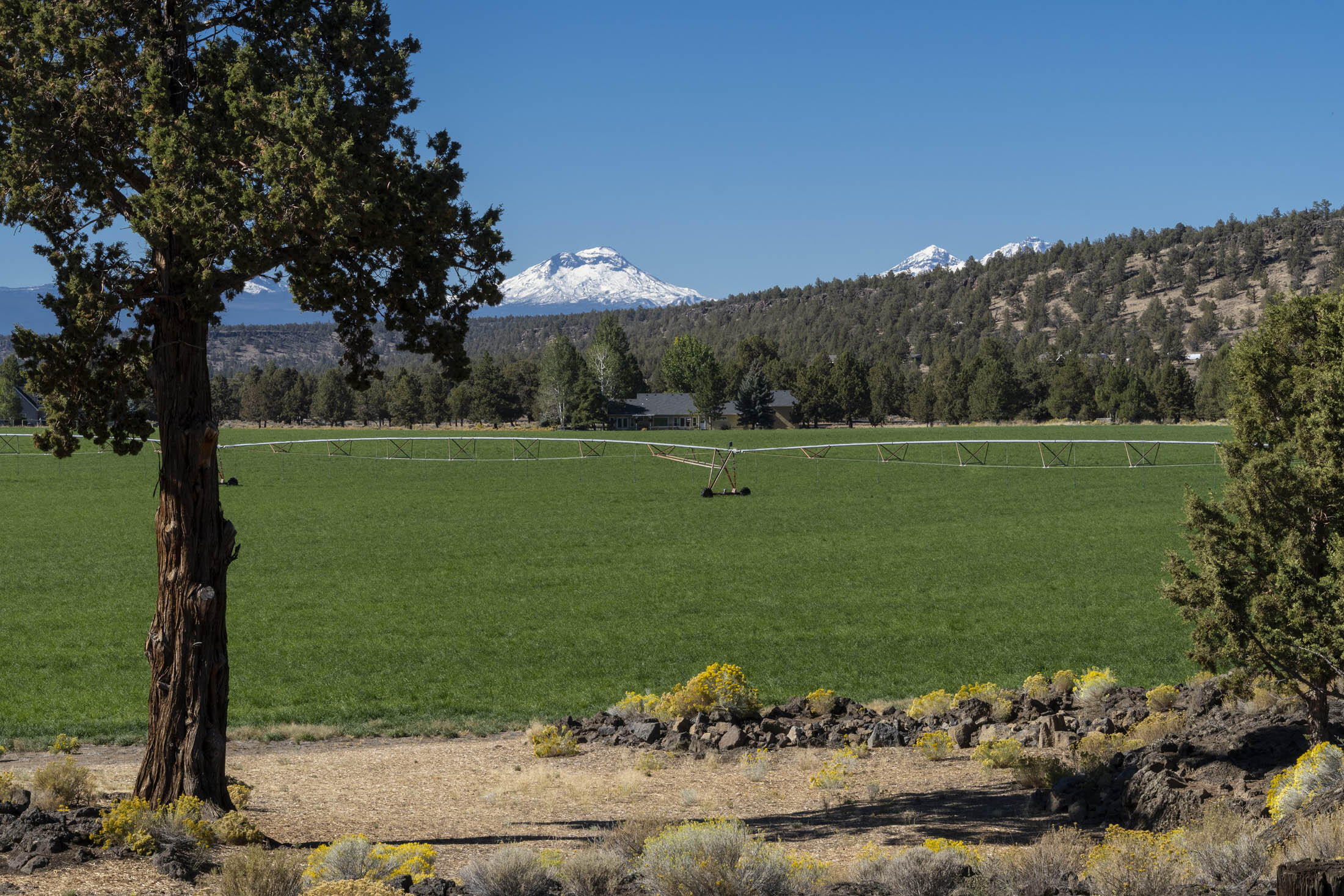 River Springs Estate - Residential