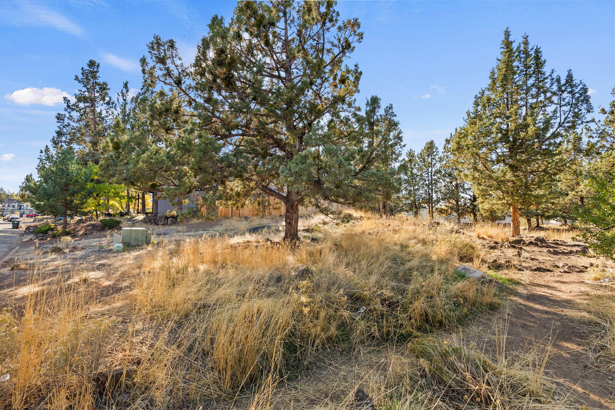 Holliday Park - Land