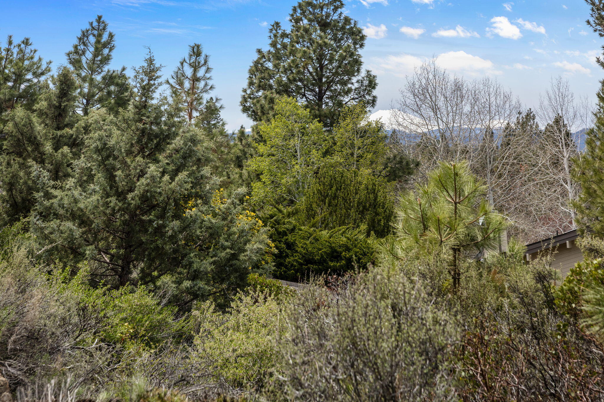 Westridge - Residential