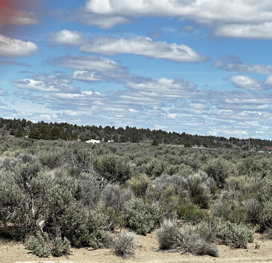 Great 5 acre location close to town, Golf course and all the amenities in Christmas Valley. Easy year round access. Electricity at the road. Great Mountain vies. This would make a great homesite with a CUP from Lake County or a getaway to enjoy all the sites and amenities of Christmas Valley. Bring the ATV's and play on the sand dunes or tour the many geographic sites such as Crack in the Ground. Lots of activities for the young and old. Get out of the city and come enjoy the High Desert.