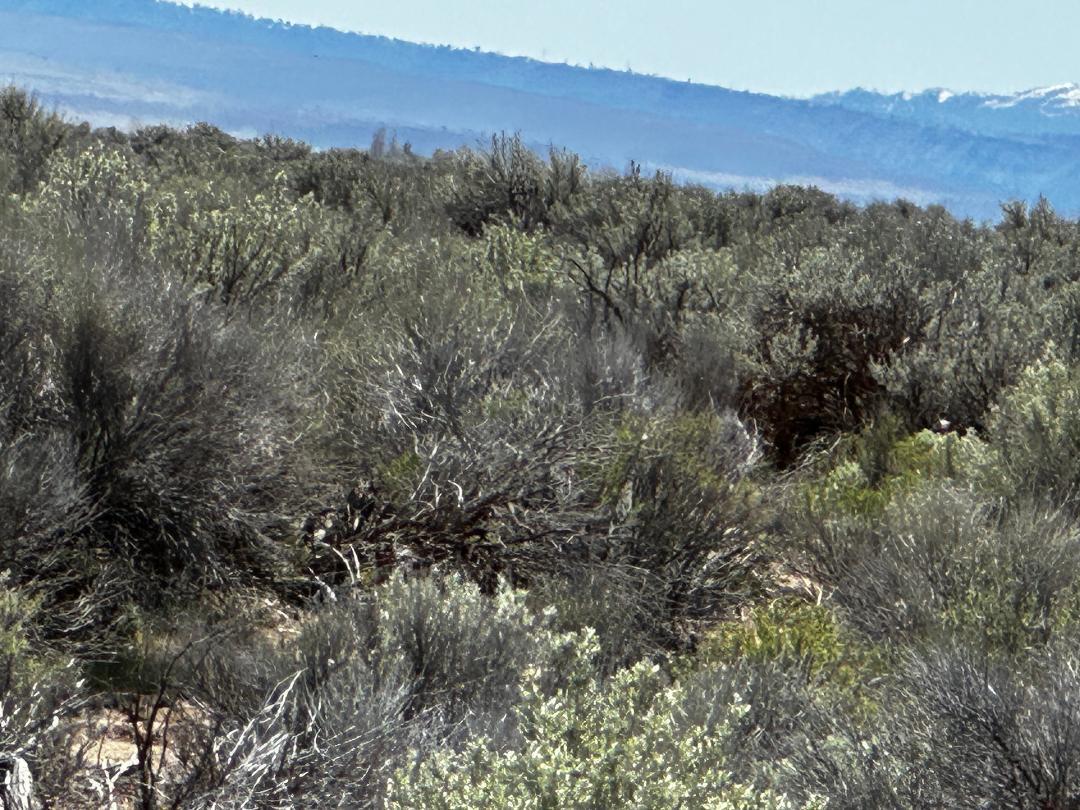 Christmas Valley Thompsons Replat No 1Unit 9 - Land