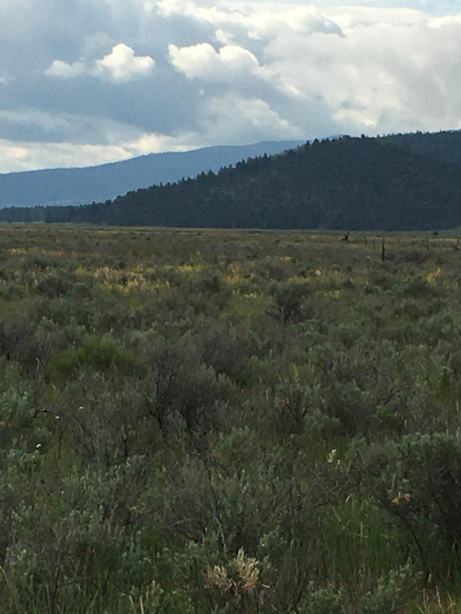 Nimrod River Park - Land