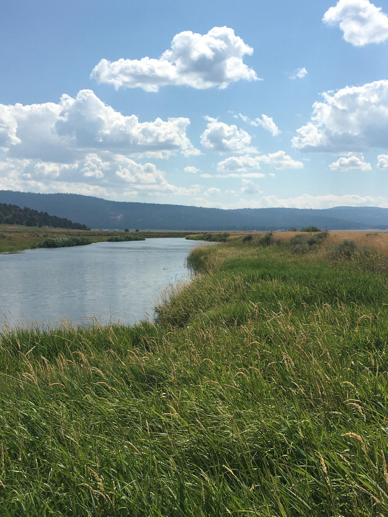 Nimrod River Park - Land