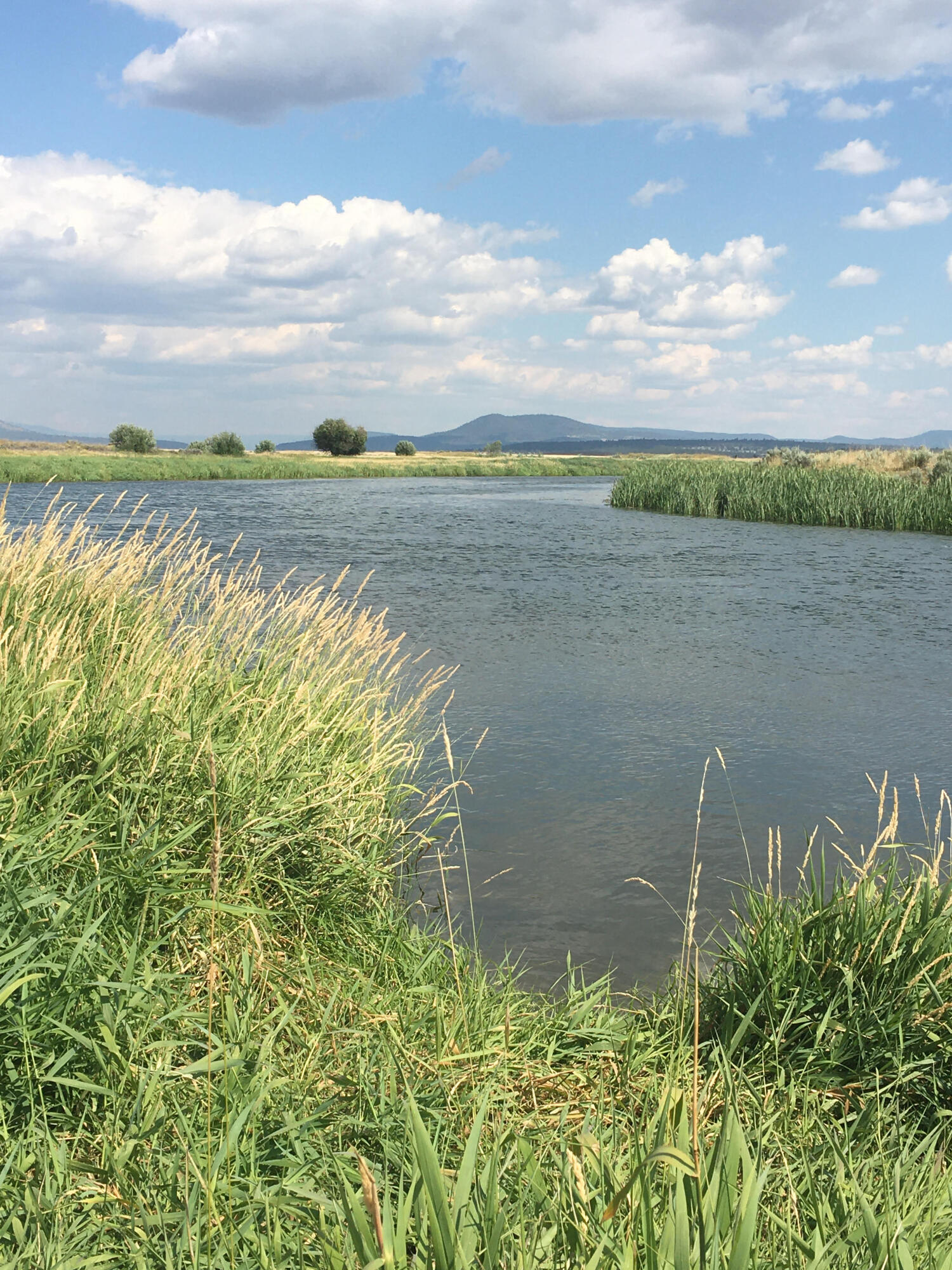 Nimrod River Park - Land