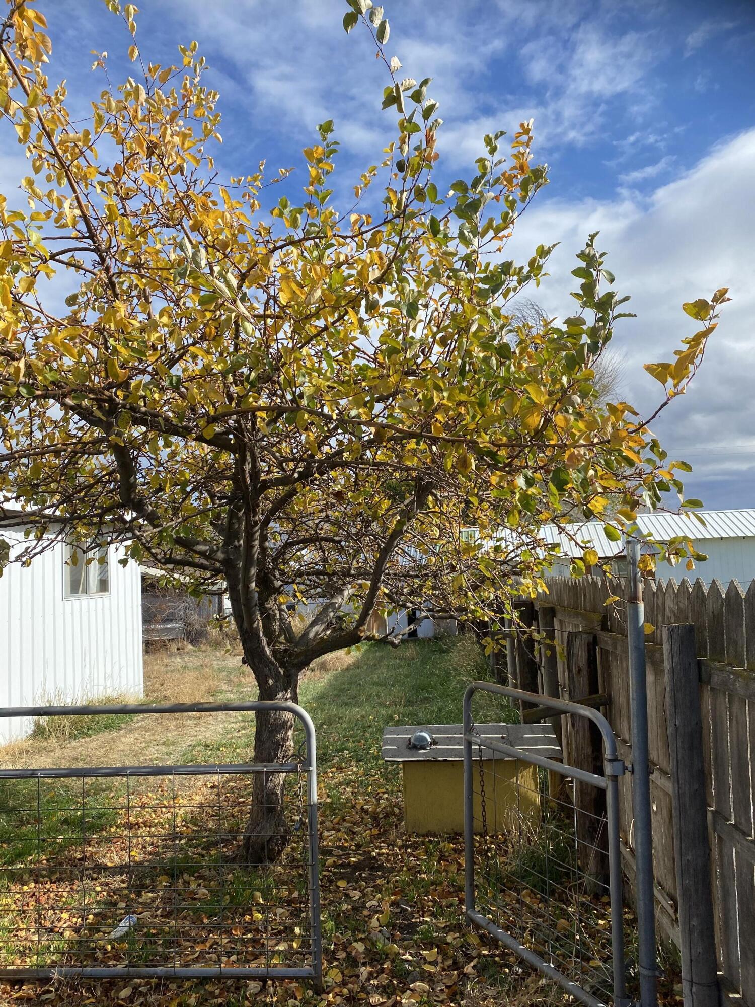 Hillman - Residential