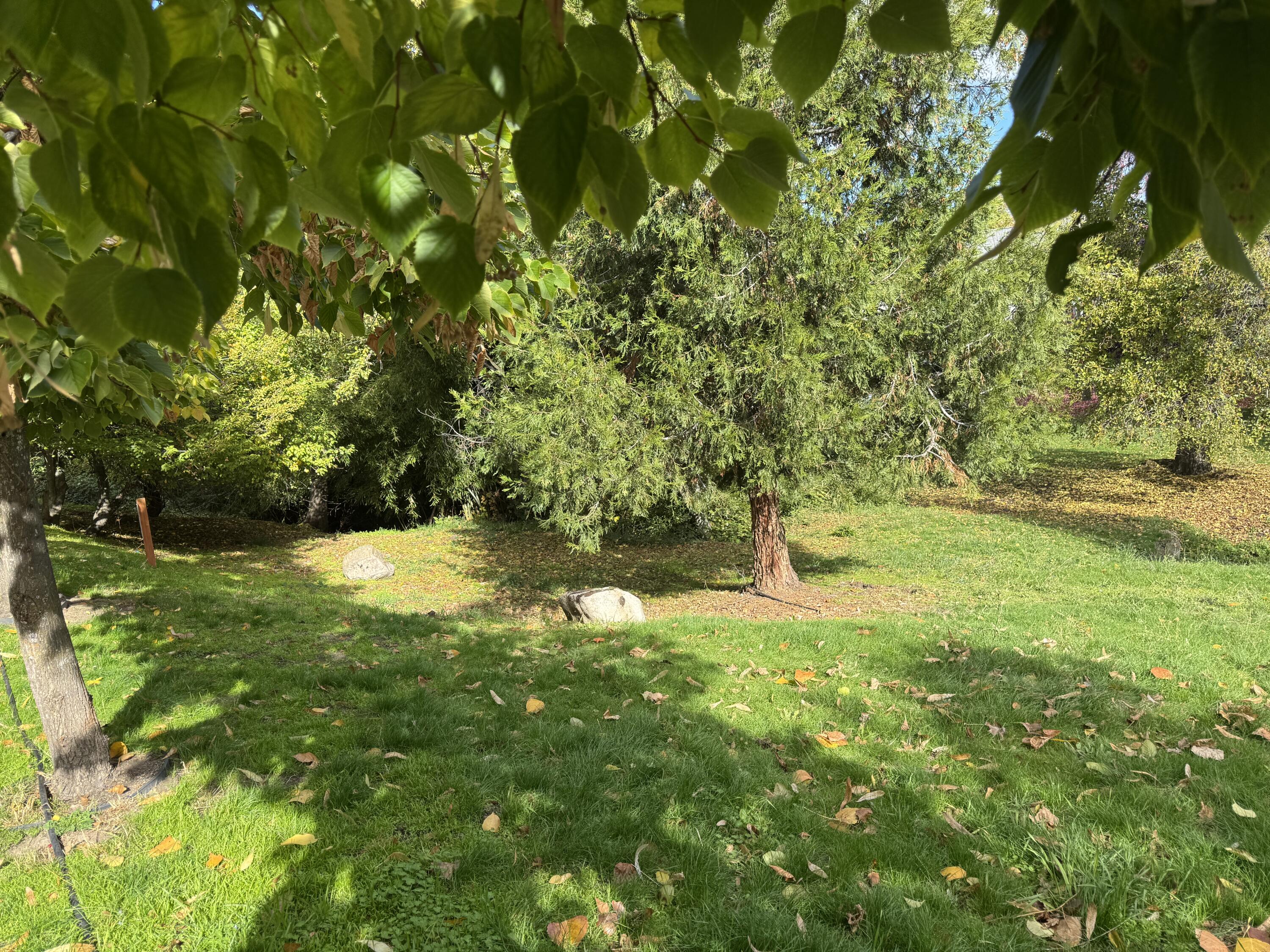 Siskiyou South Subdivision - Residential